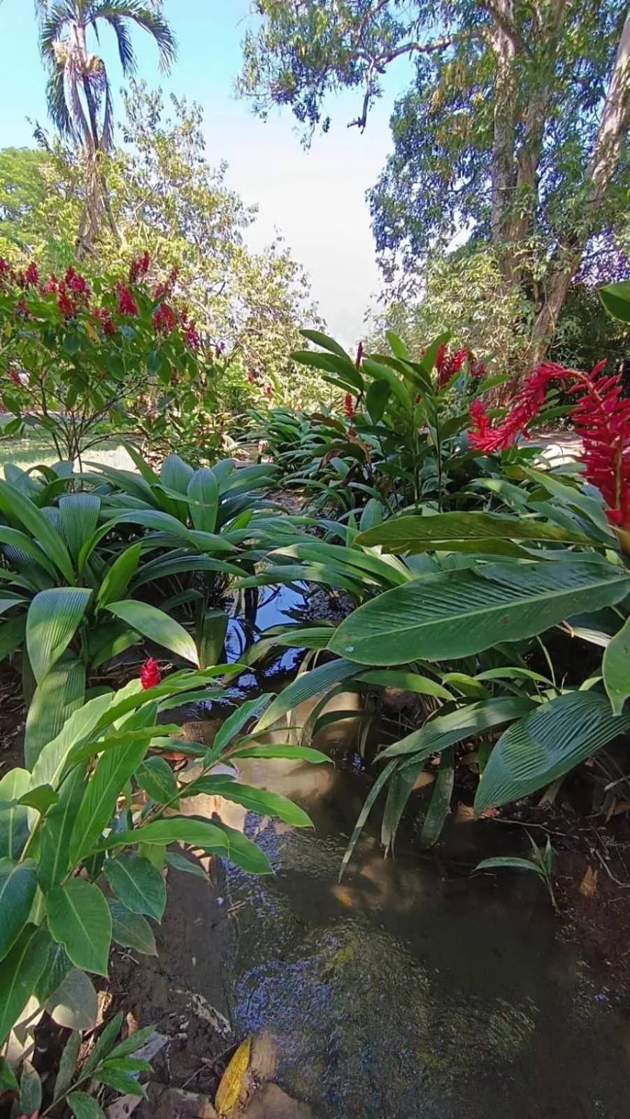 Finca Hotel La Estancia