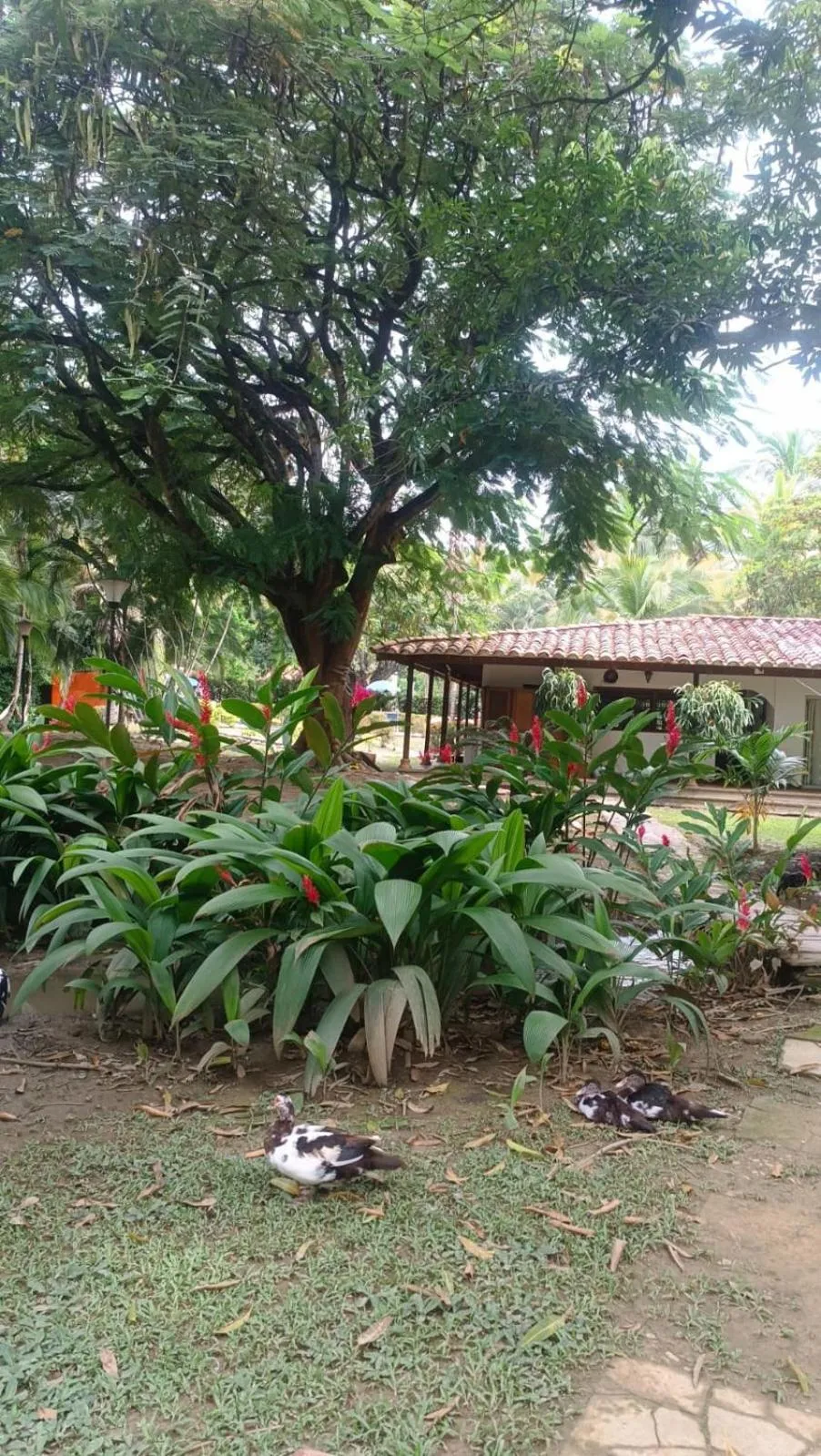 Finca Hotel La Estancia