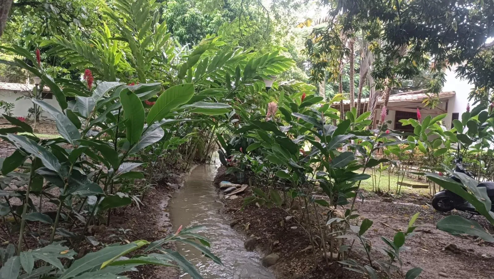 Finca Hotel La Estancia