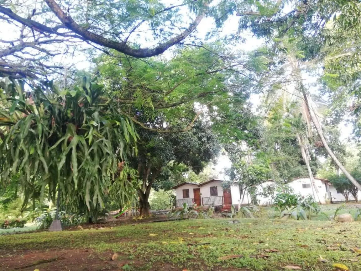 Garden view in Finca Hotel La Estancia