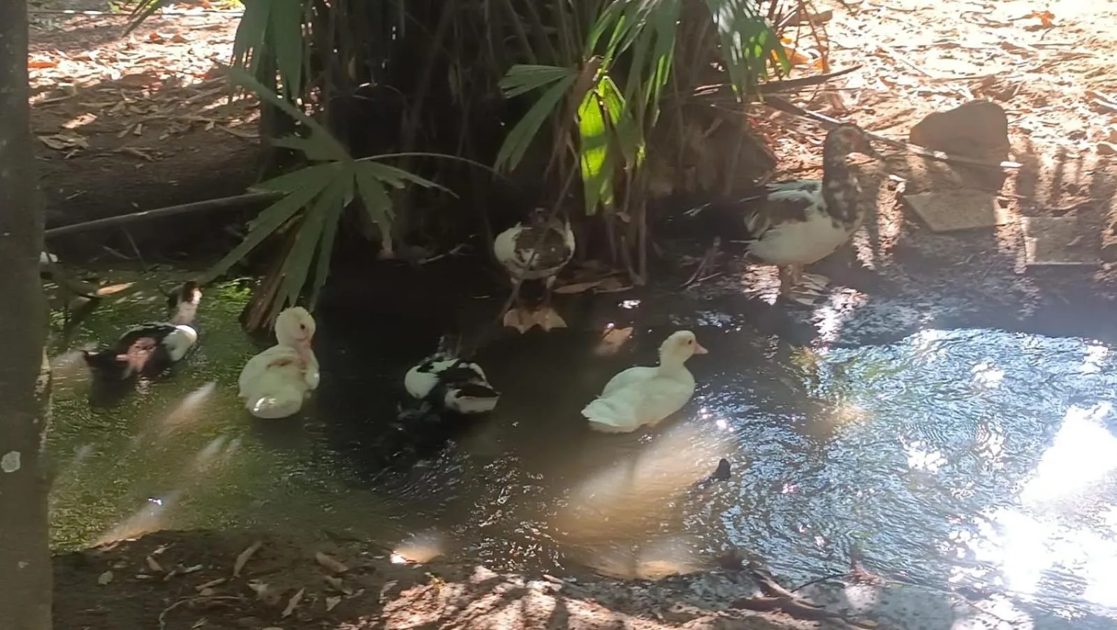 Finca Hotel La Estancia