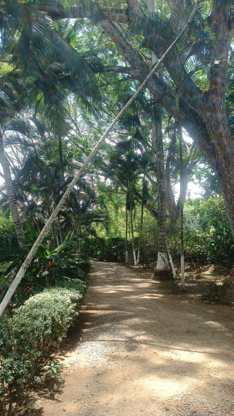 Finca Hotel La Estancia