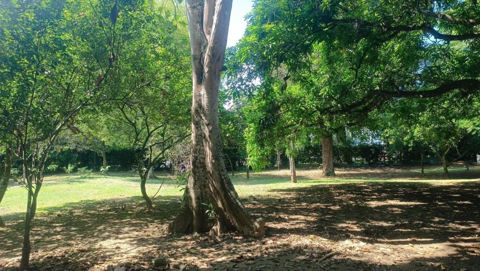 Finca Hotel La Estancia