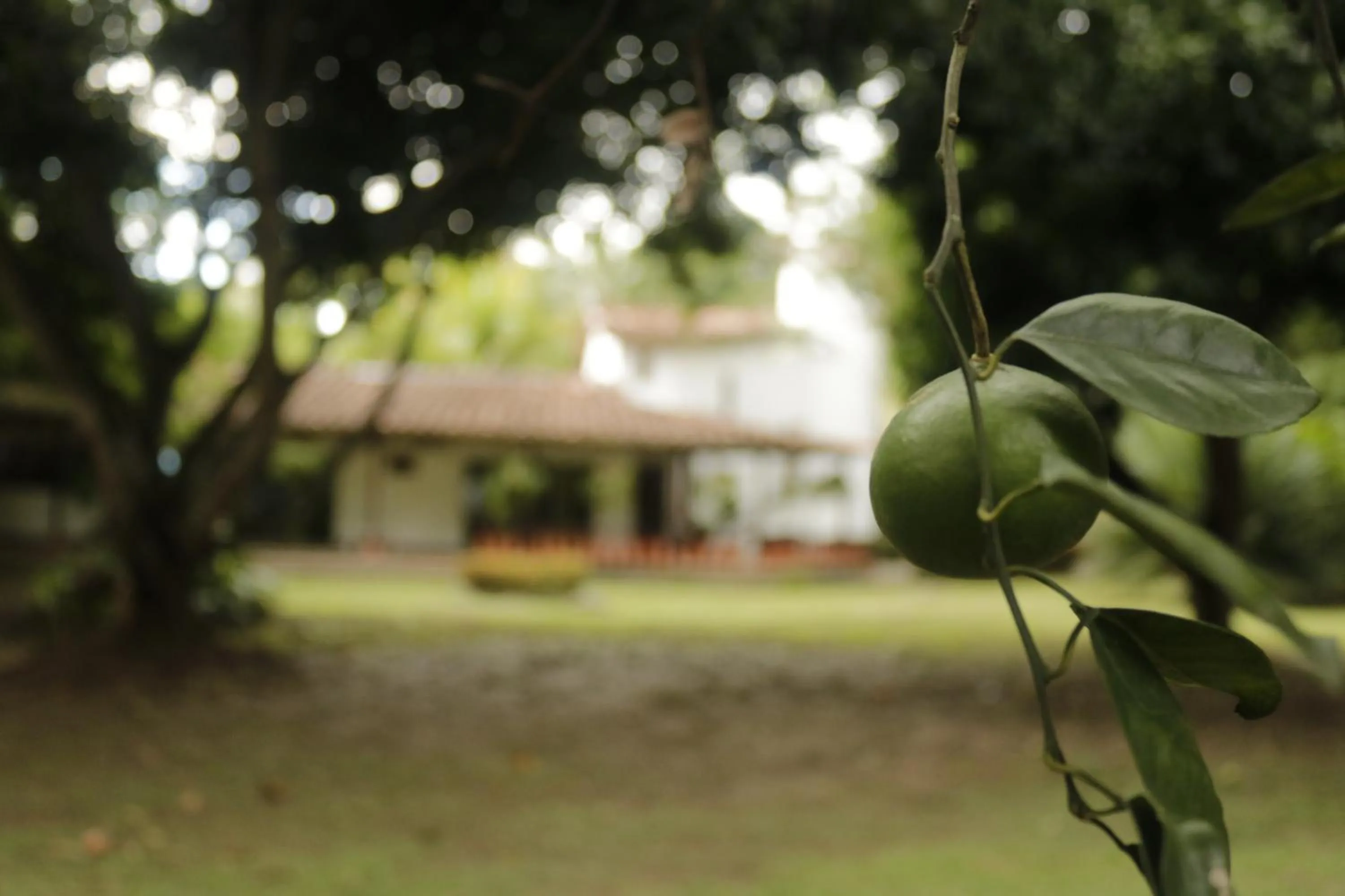 Finca Hotel La Estancia