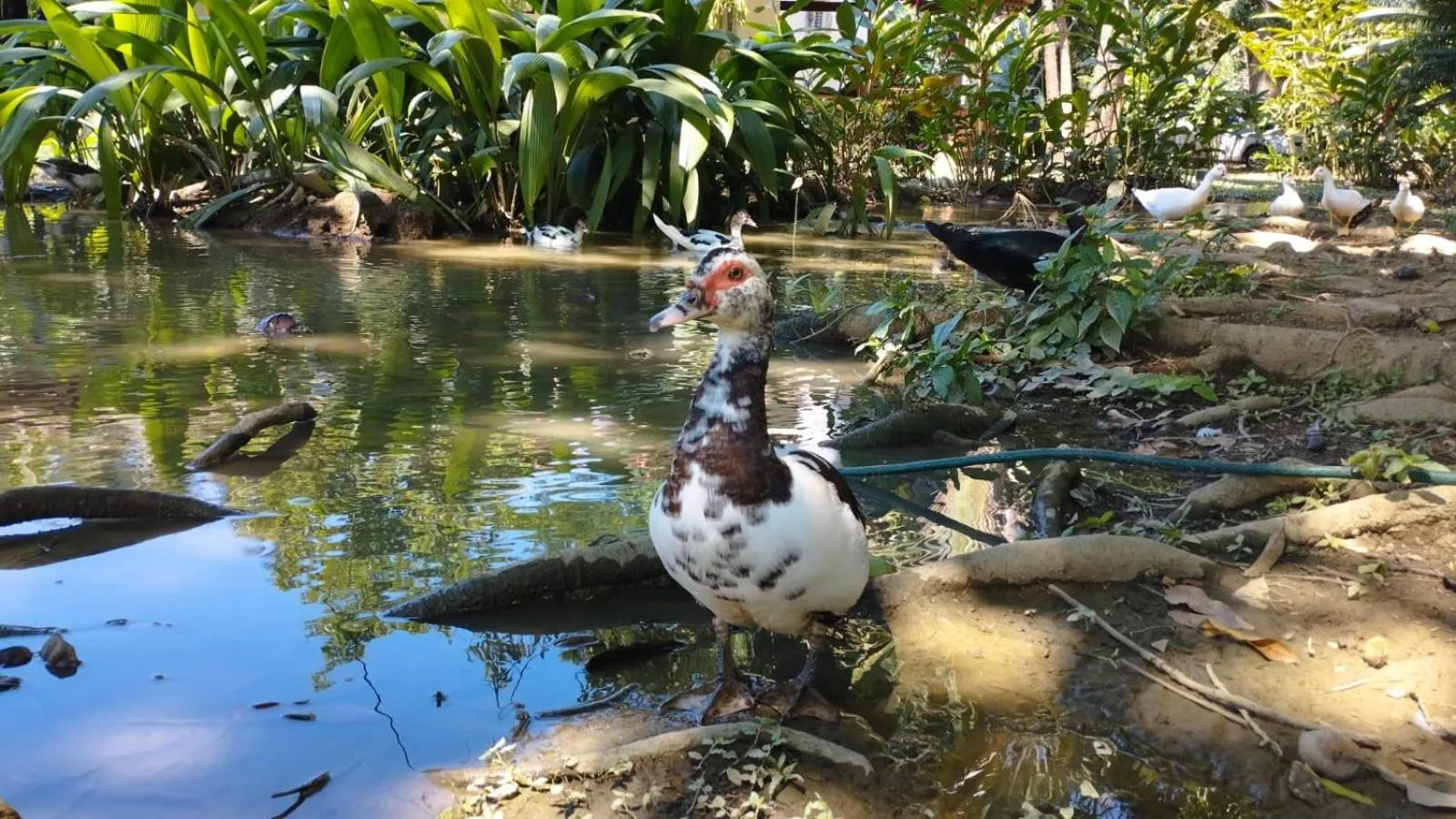 Finca Hotel La Estancia