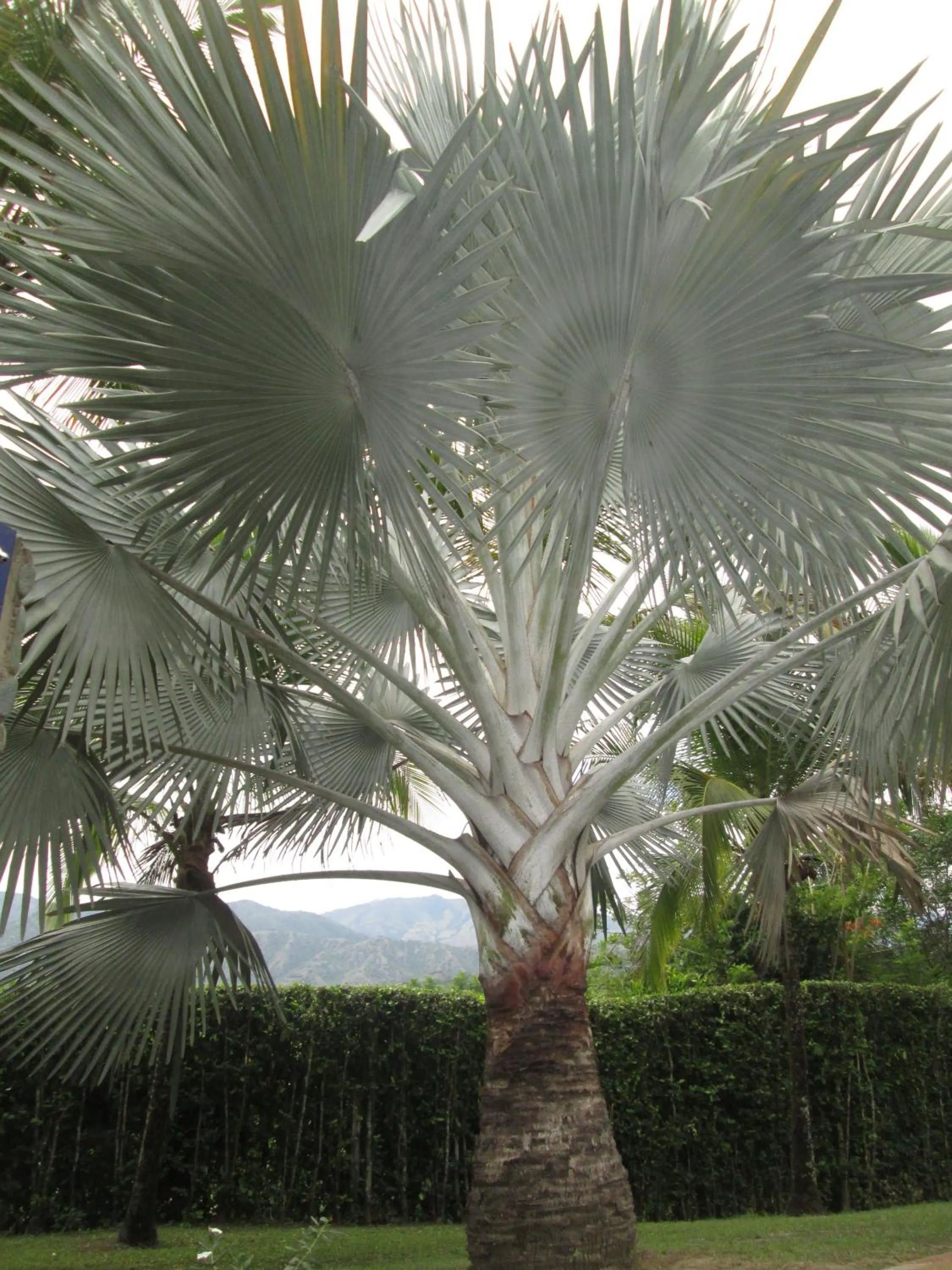 Finca Hotel La Estancia