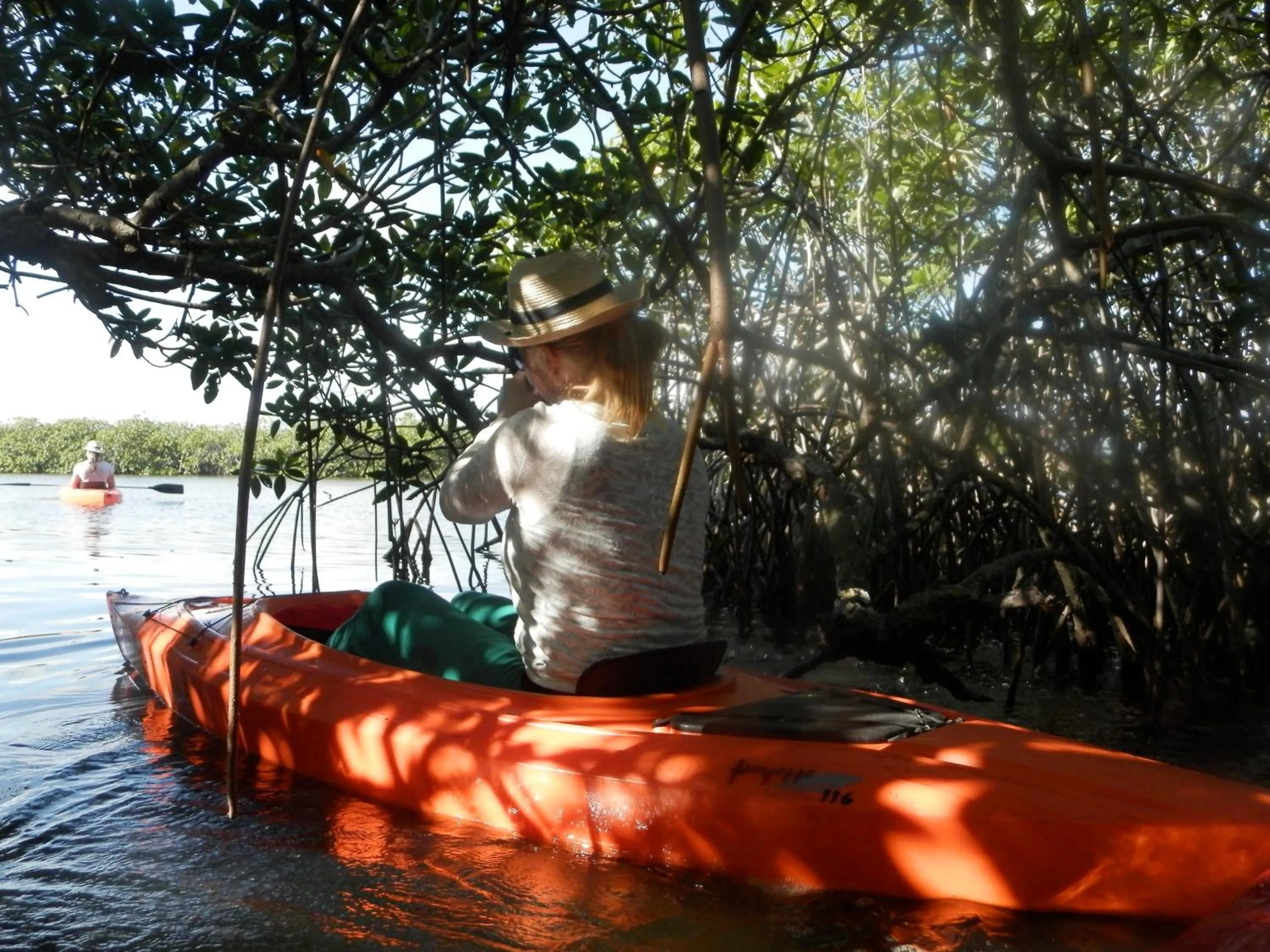 Beach in Palmento Grove Garifuna Eco-Cultural & Healing Institute