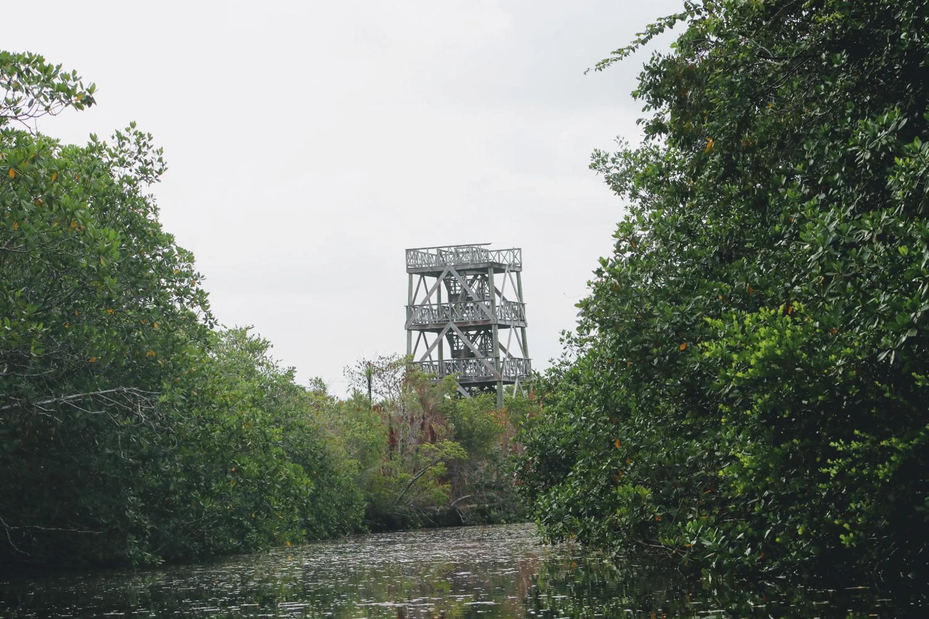 Property building in Palmento Grove Garifuna Eco-Cultural & Healing Institute