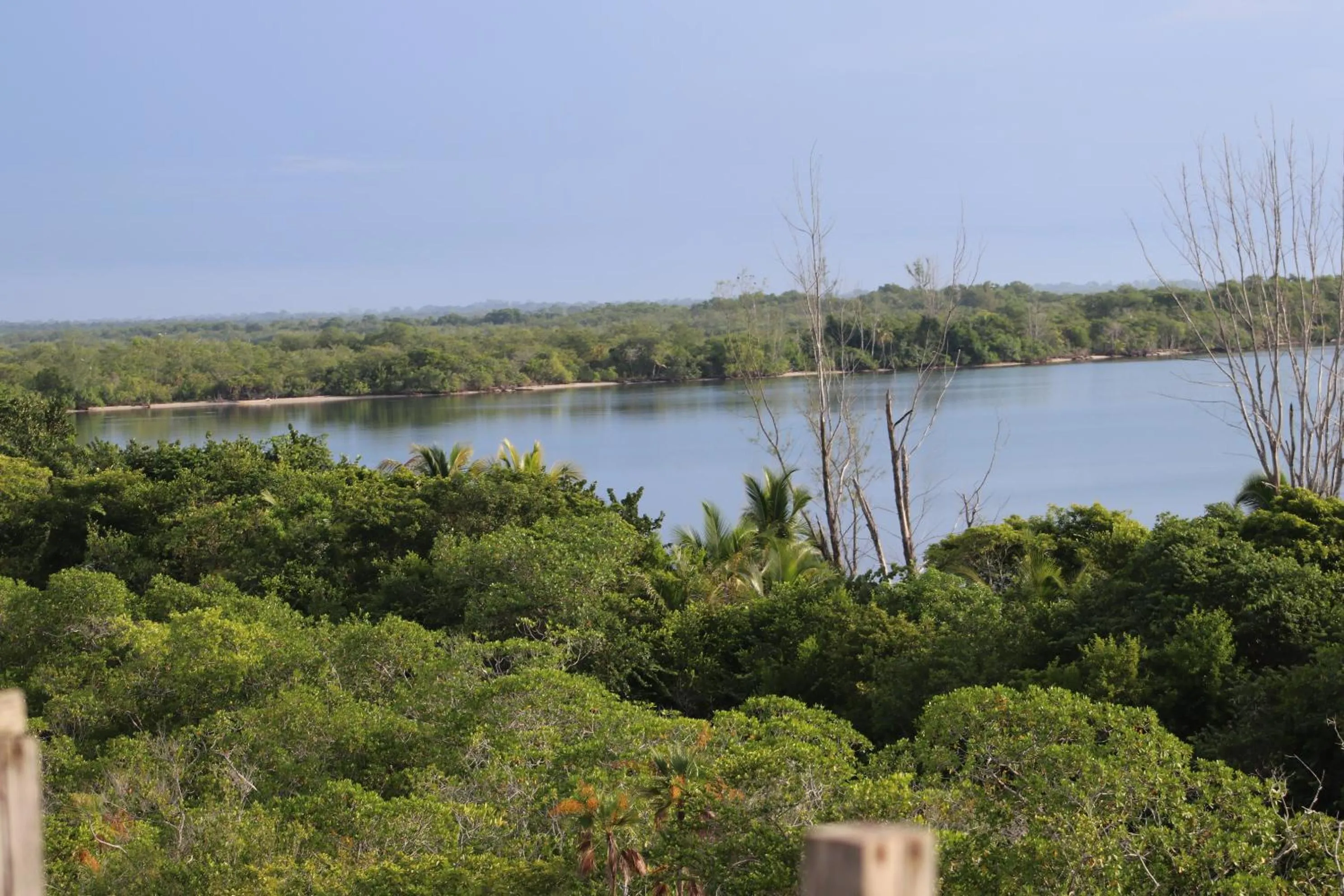 Beach in Palmento Grove Garifuna Eco-Cultural & Healing Institute