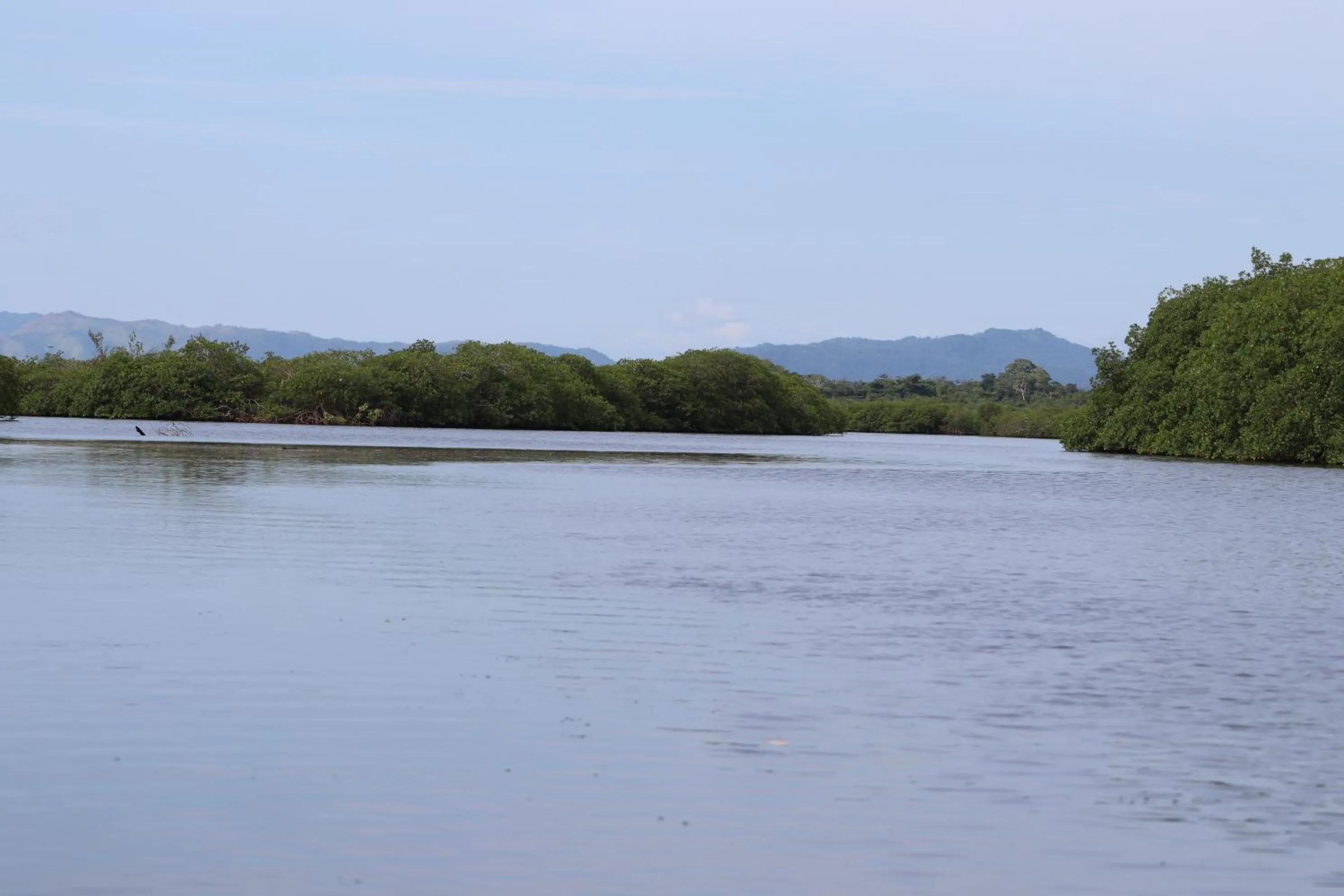 Nearby landmark in Palmento Grove Garifuna Eco-Cultural & Healing Institute
