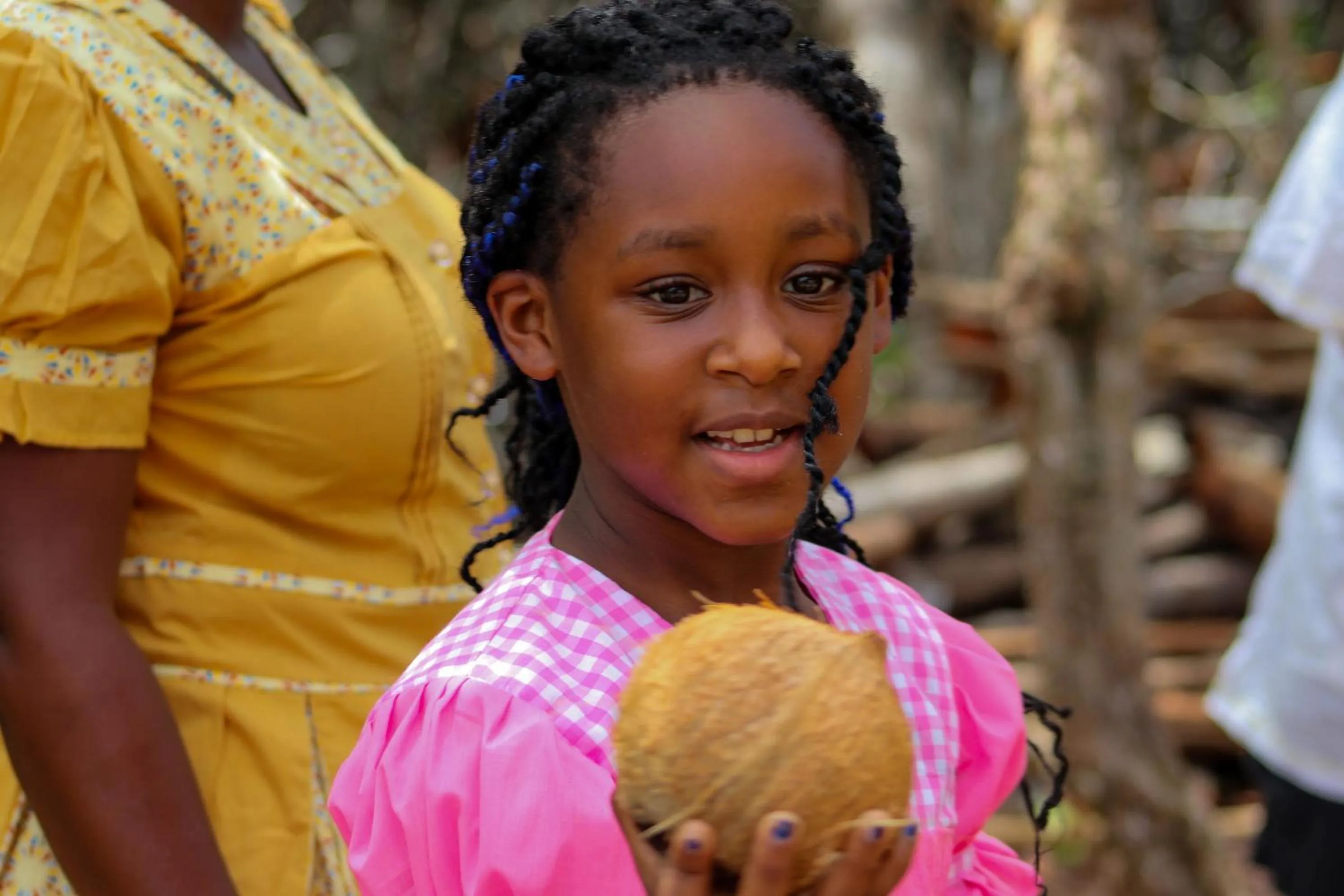 Activities in Palmento Grove Garifuna Eco-Cultural & Healing Institute