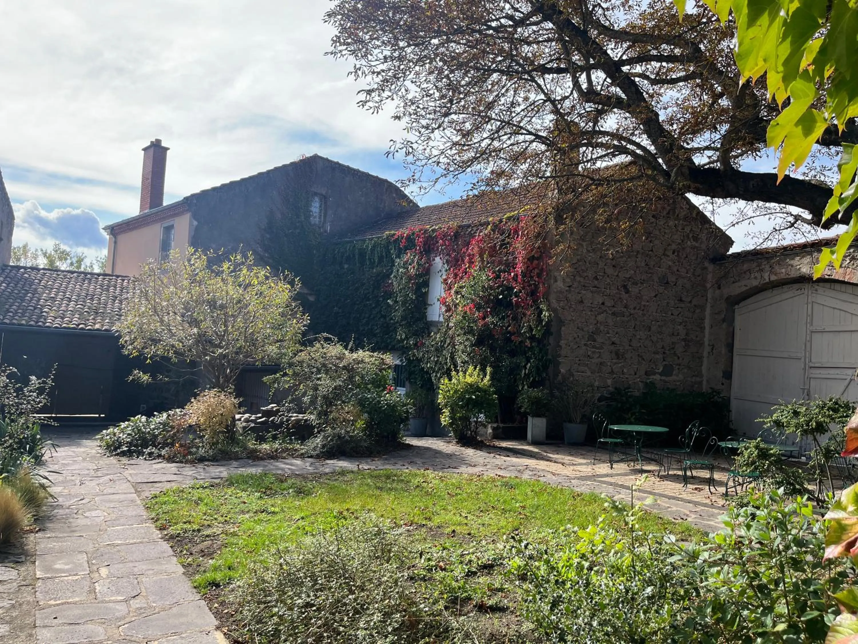 Garden view in la Cour Carrée