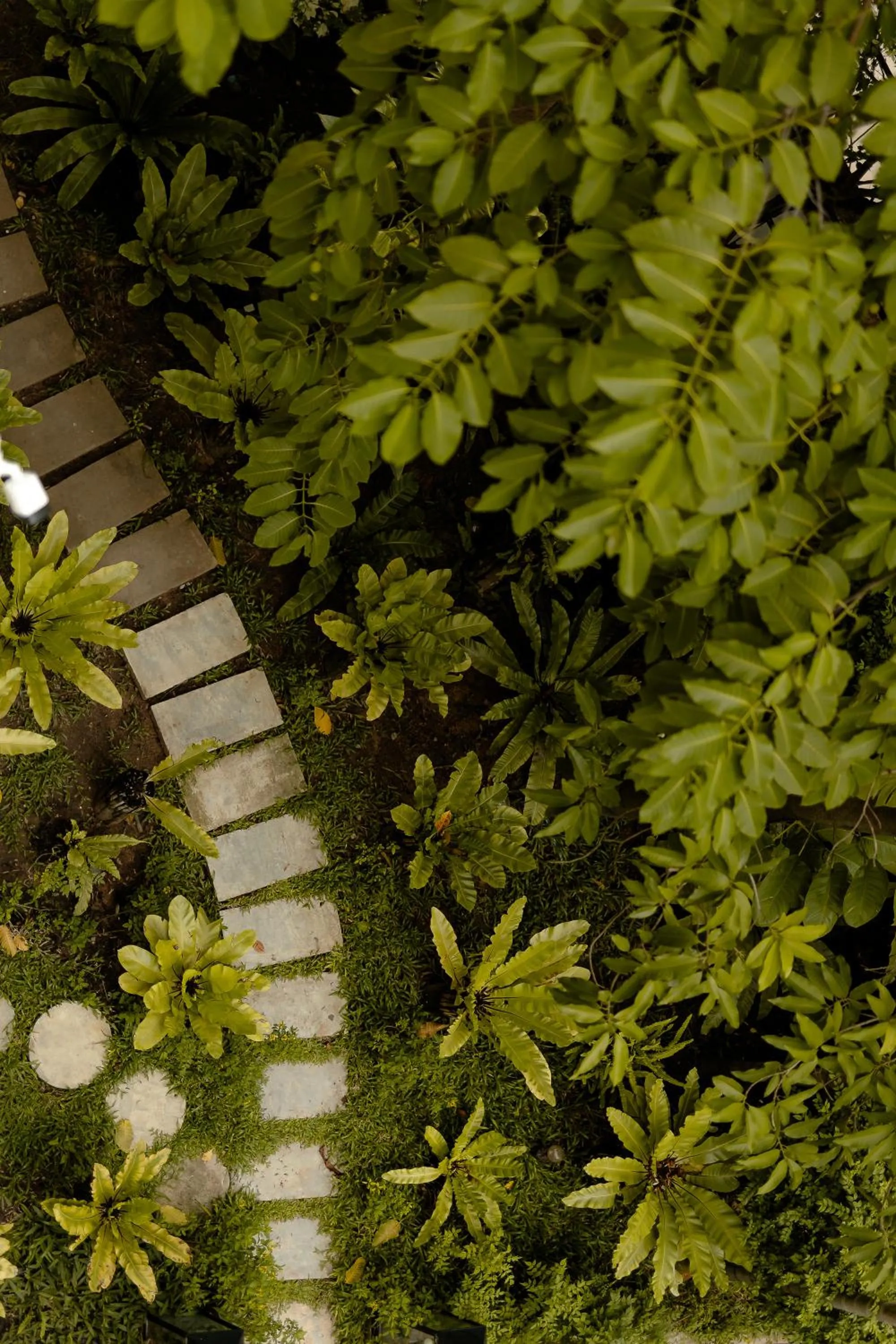 Garden in Sarai and Wander Resort