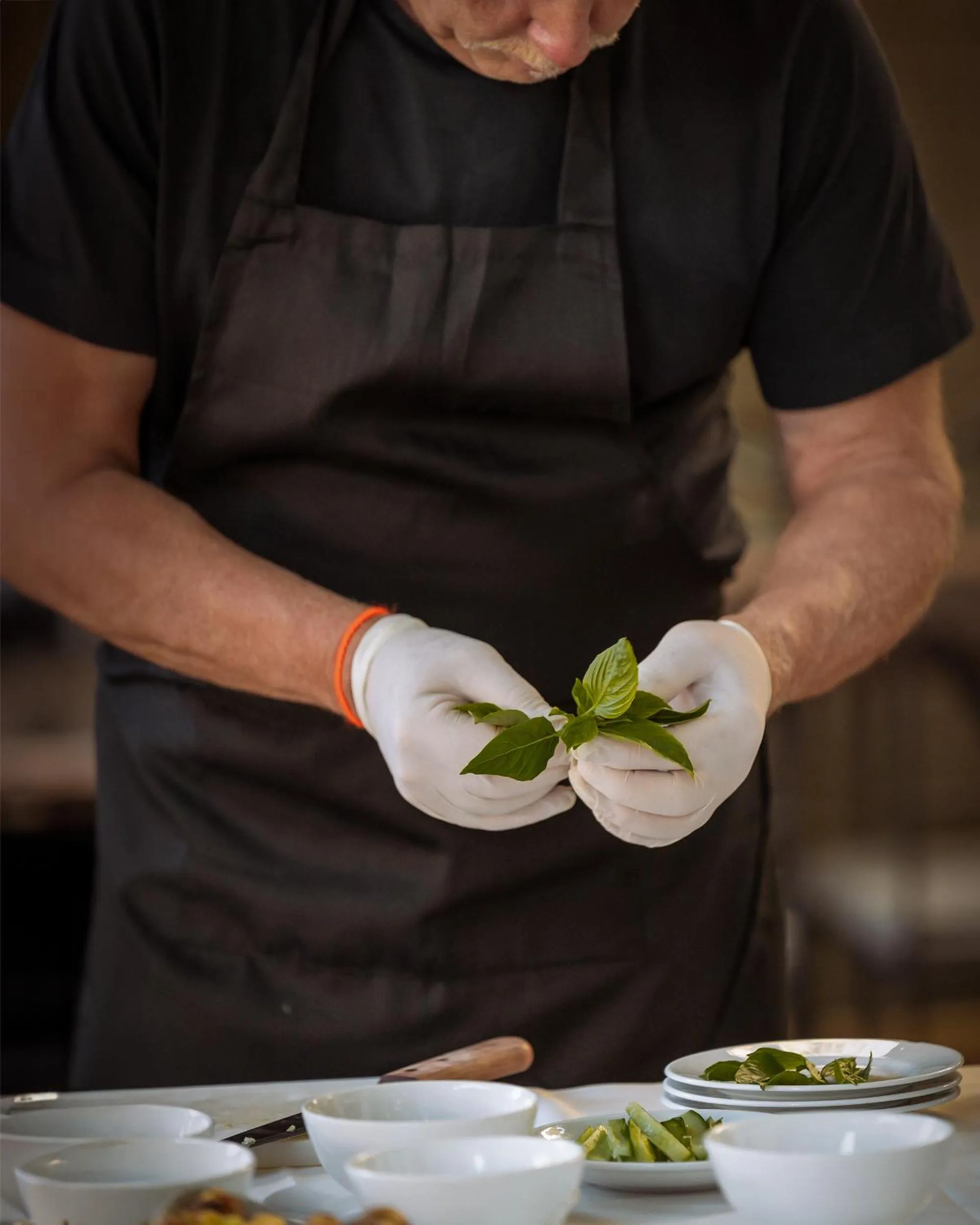 Activities in Sarai and Wander Resort