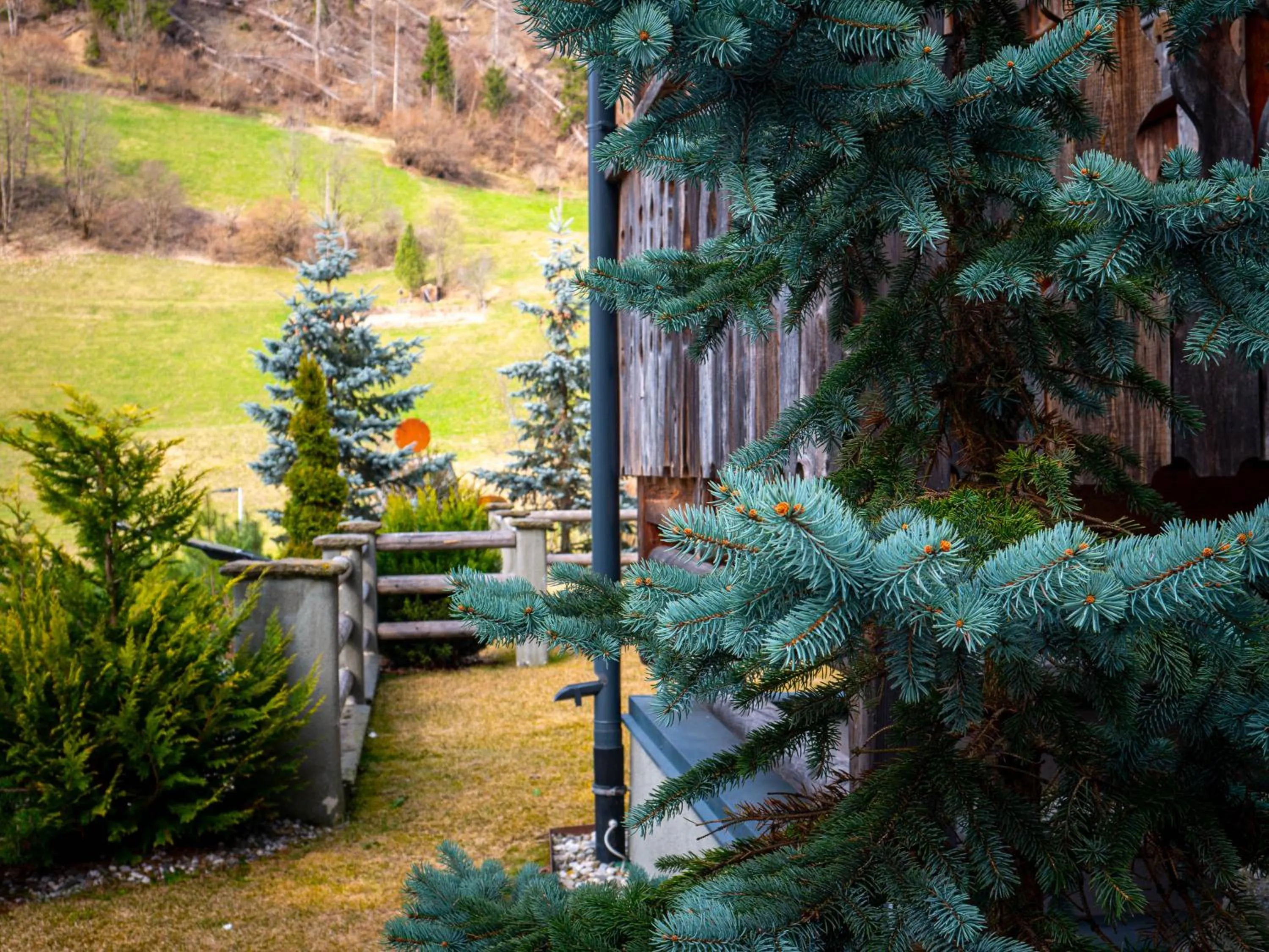 Natural landscape in Alpine Mountain Chalet