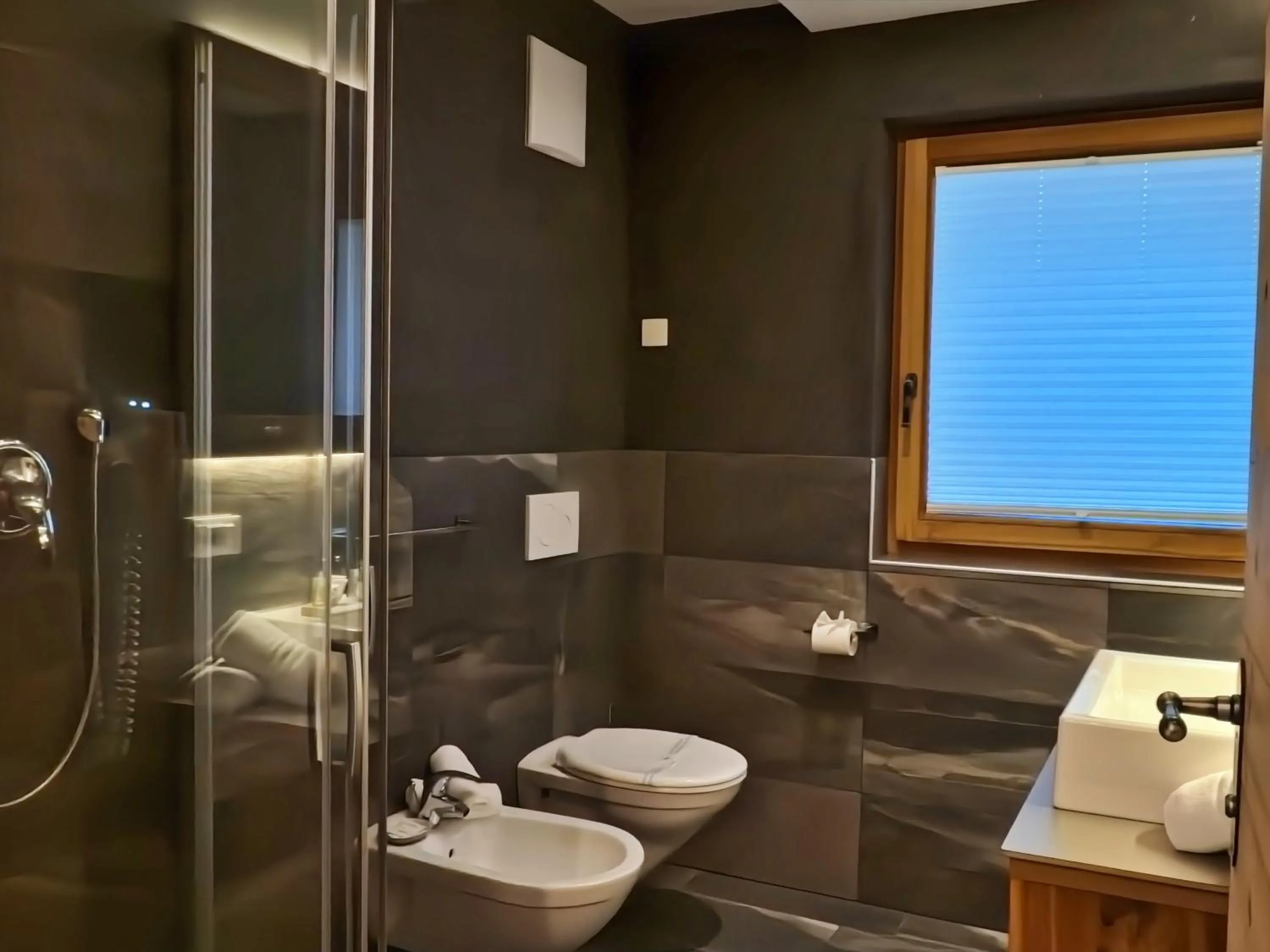 Bathroom in Alpine Mountain Chalet