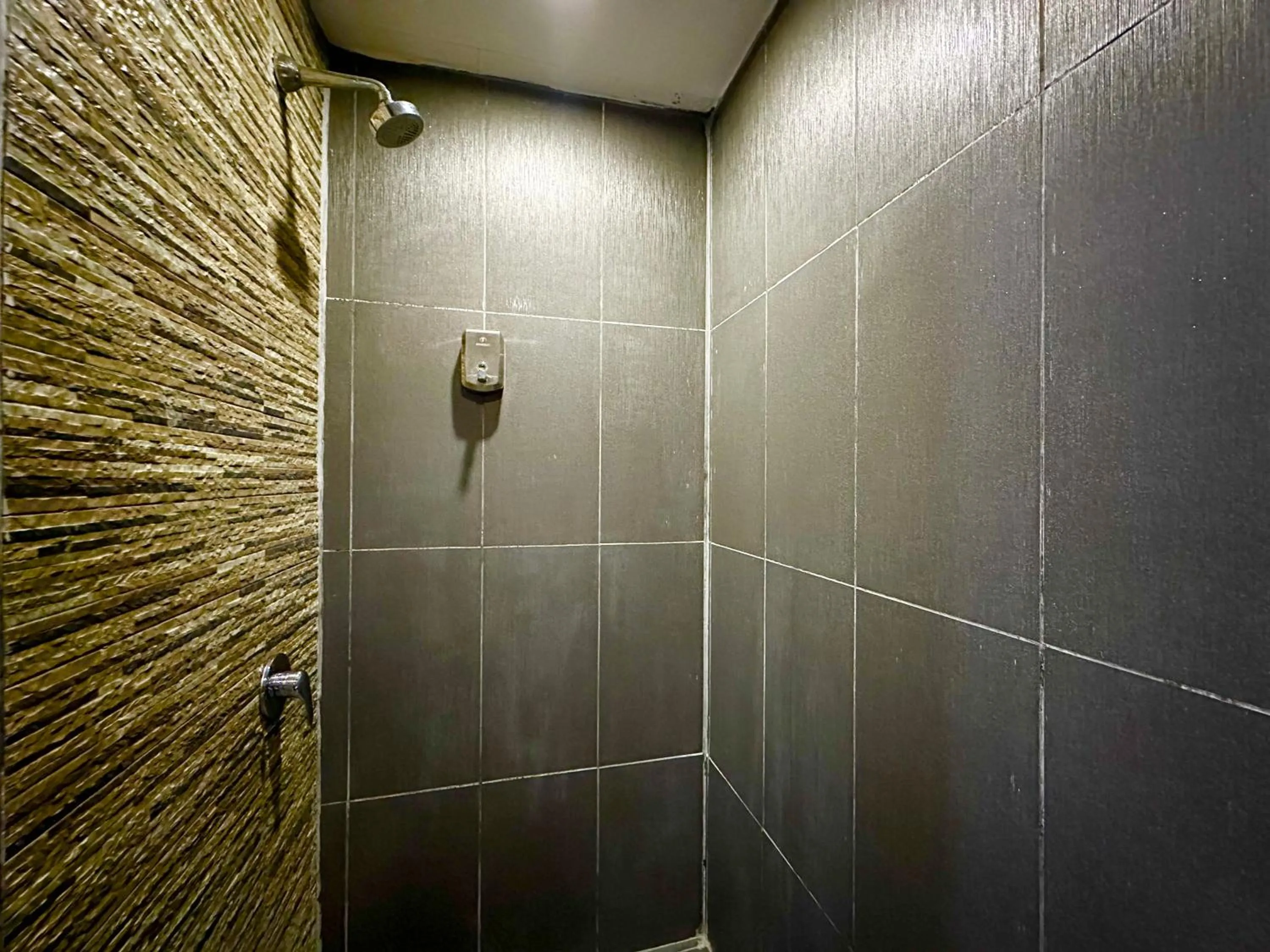 Shower in Park Hotel