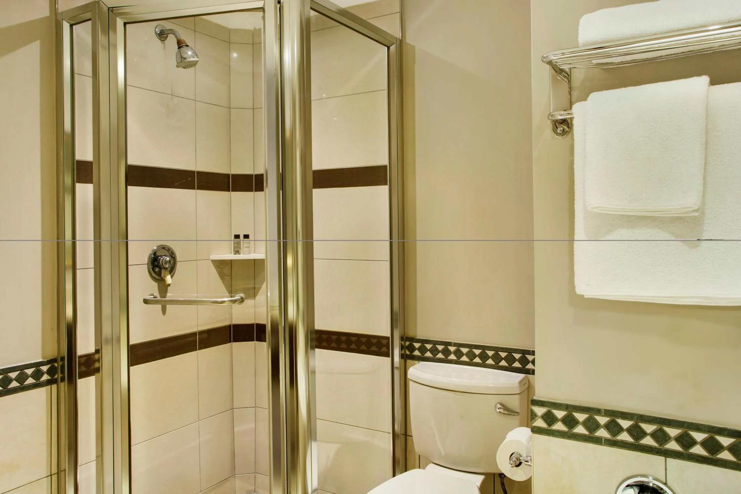 Bathroom in The Ridge Hotel