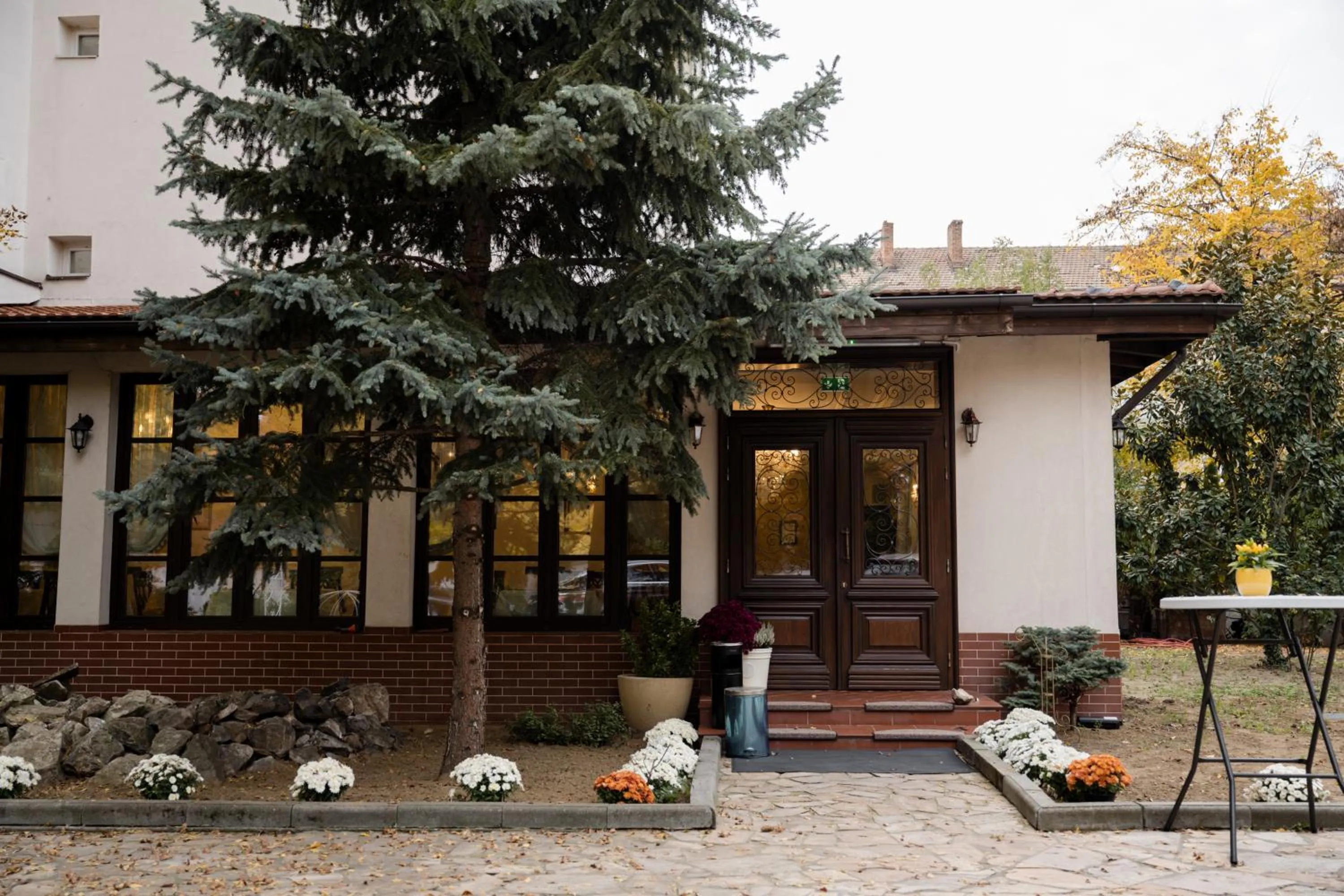 Garden in Hotel Royal Plaza By TimHotels