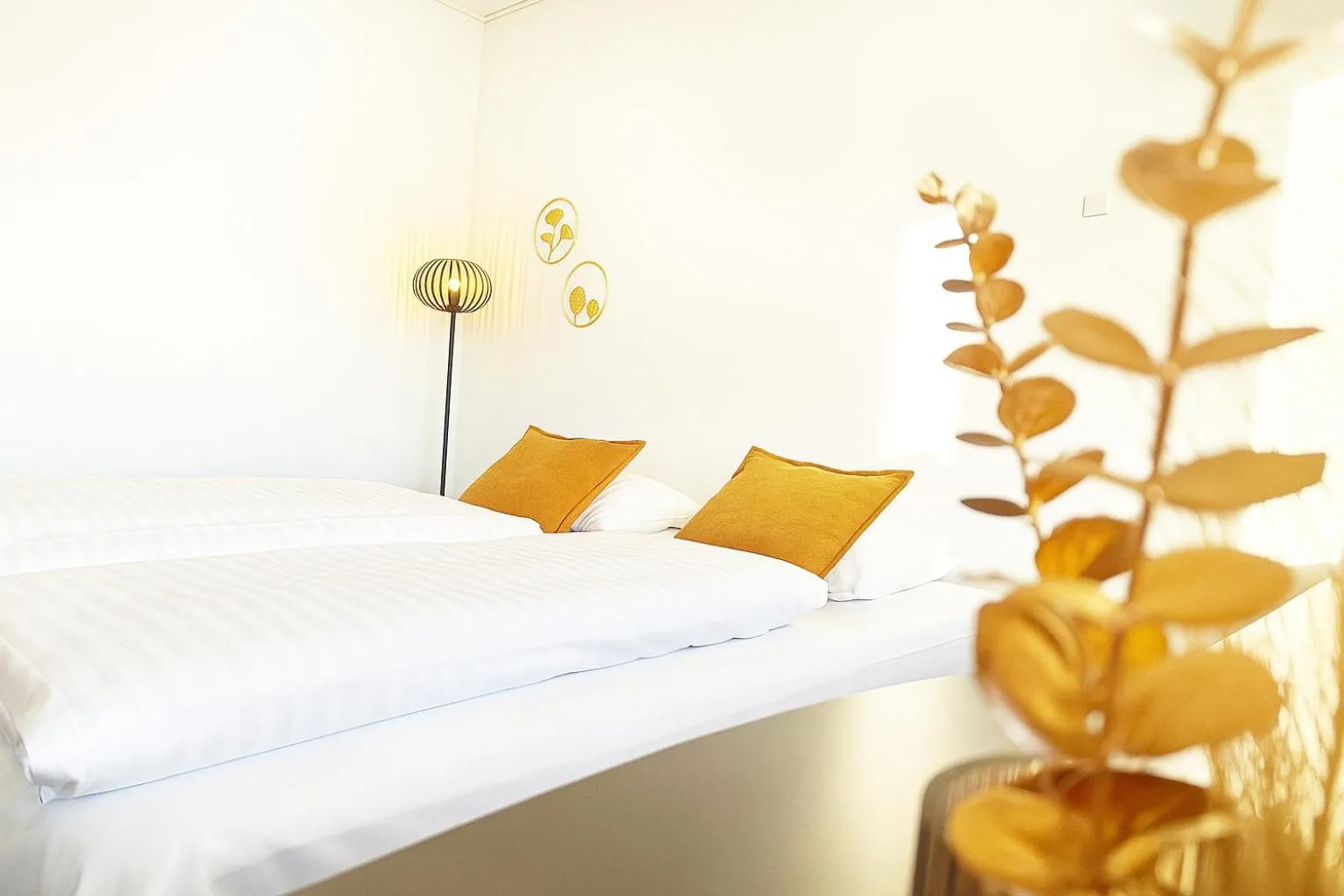 Hotel Svanegården