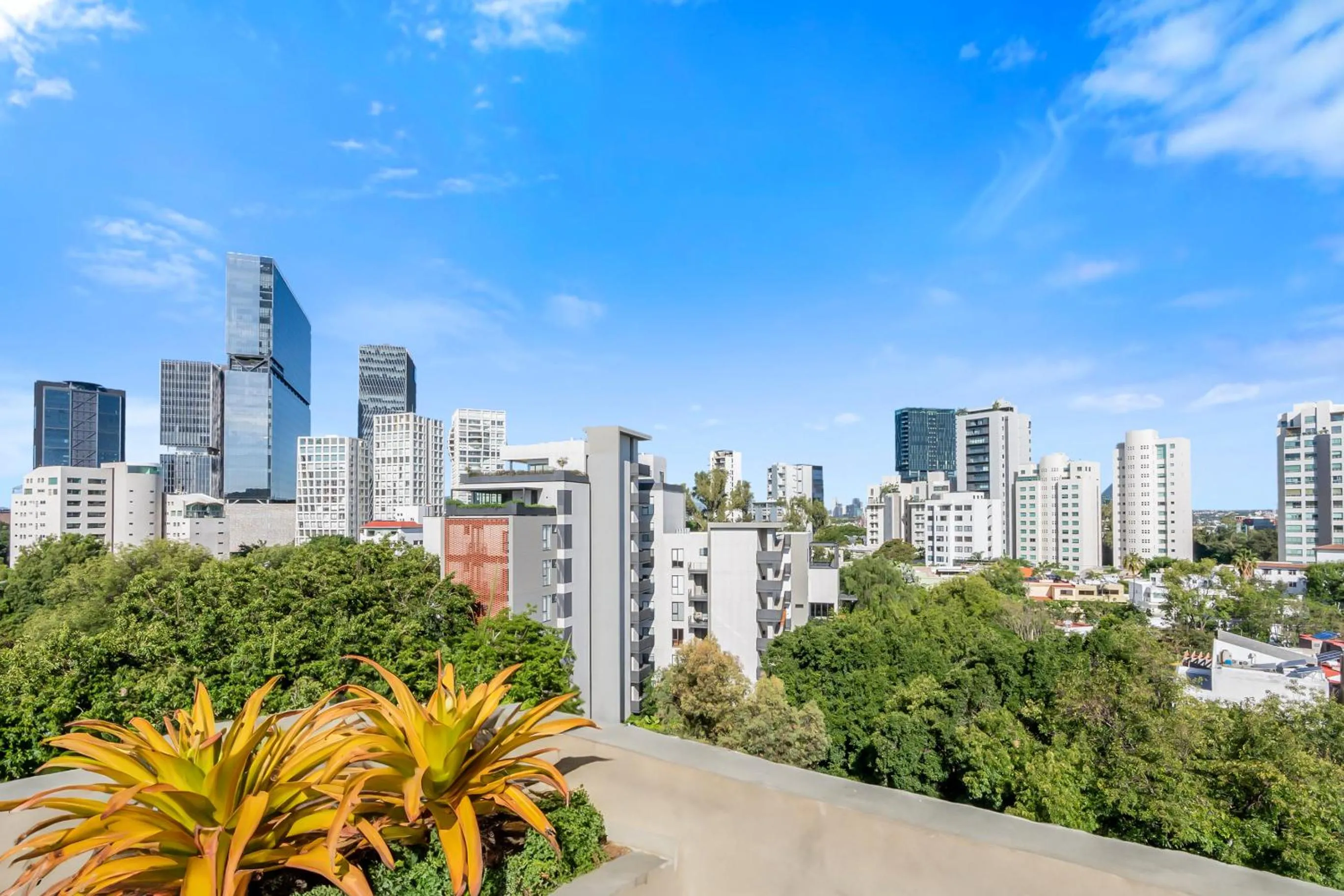 DHaus Guadalajara Country Club