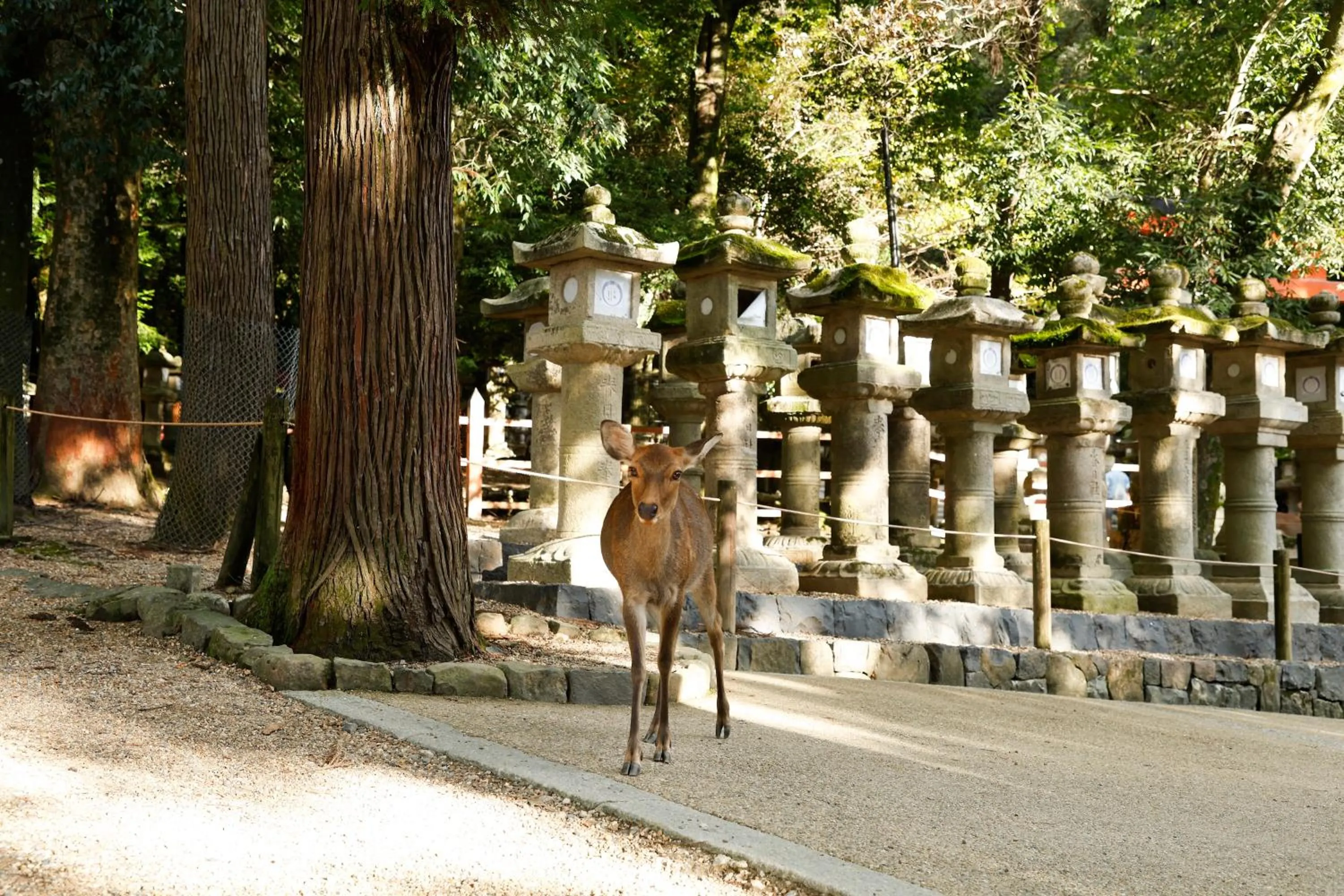 Nearby landmark in VILLA COMMUNICO,Nara