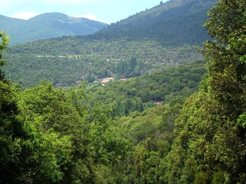 View (from property/room) in Ca l'Agnès