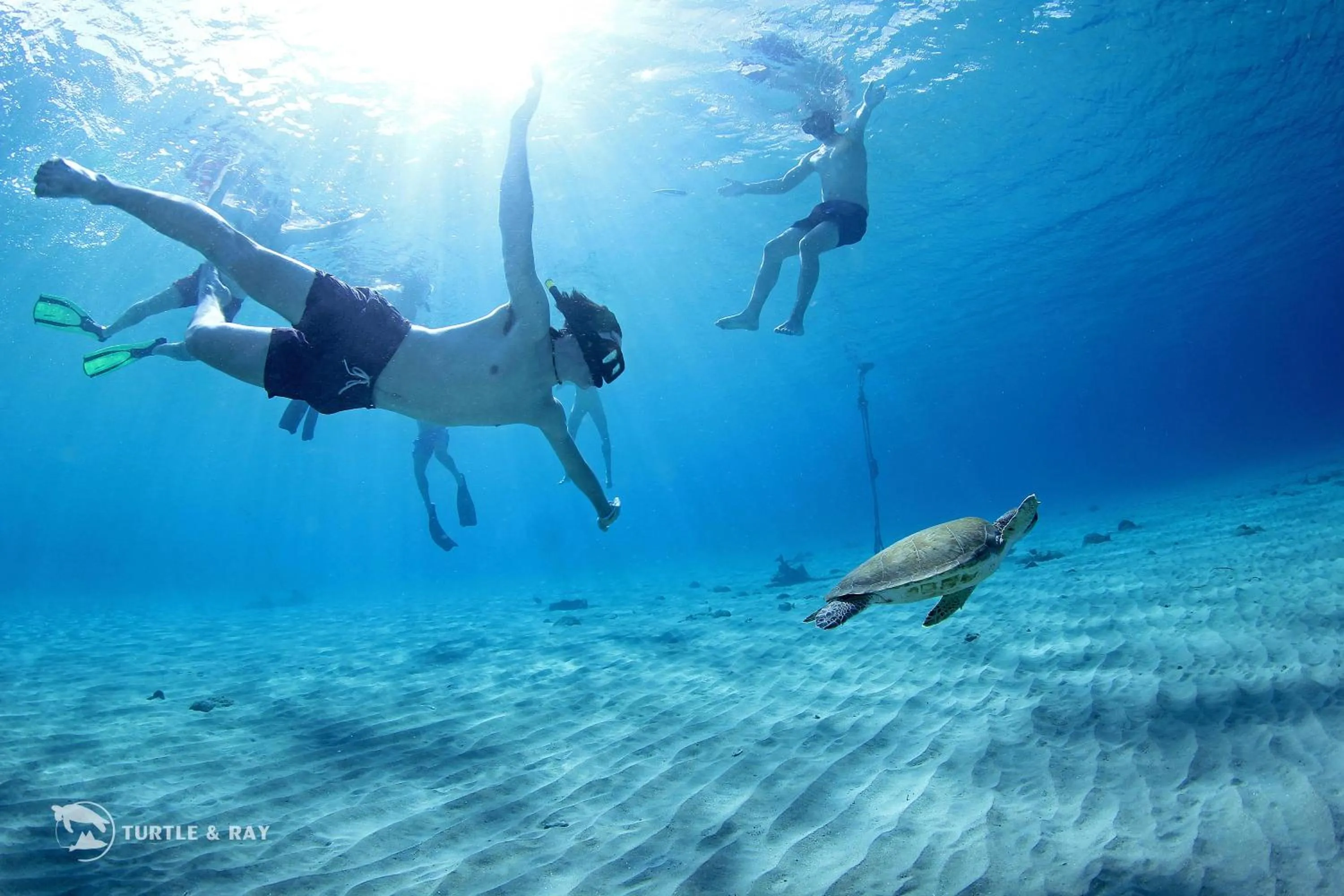 Activities in Lagun Blou Resort - Curacao