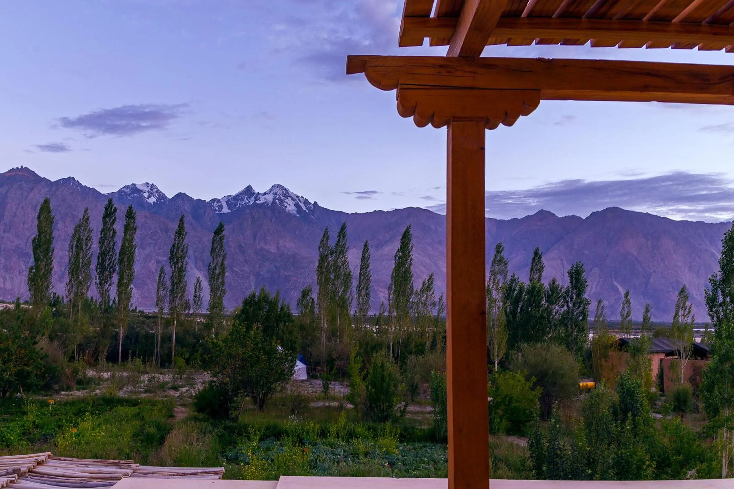 View (from property/room) in Nubra Ecolodge
