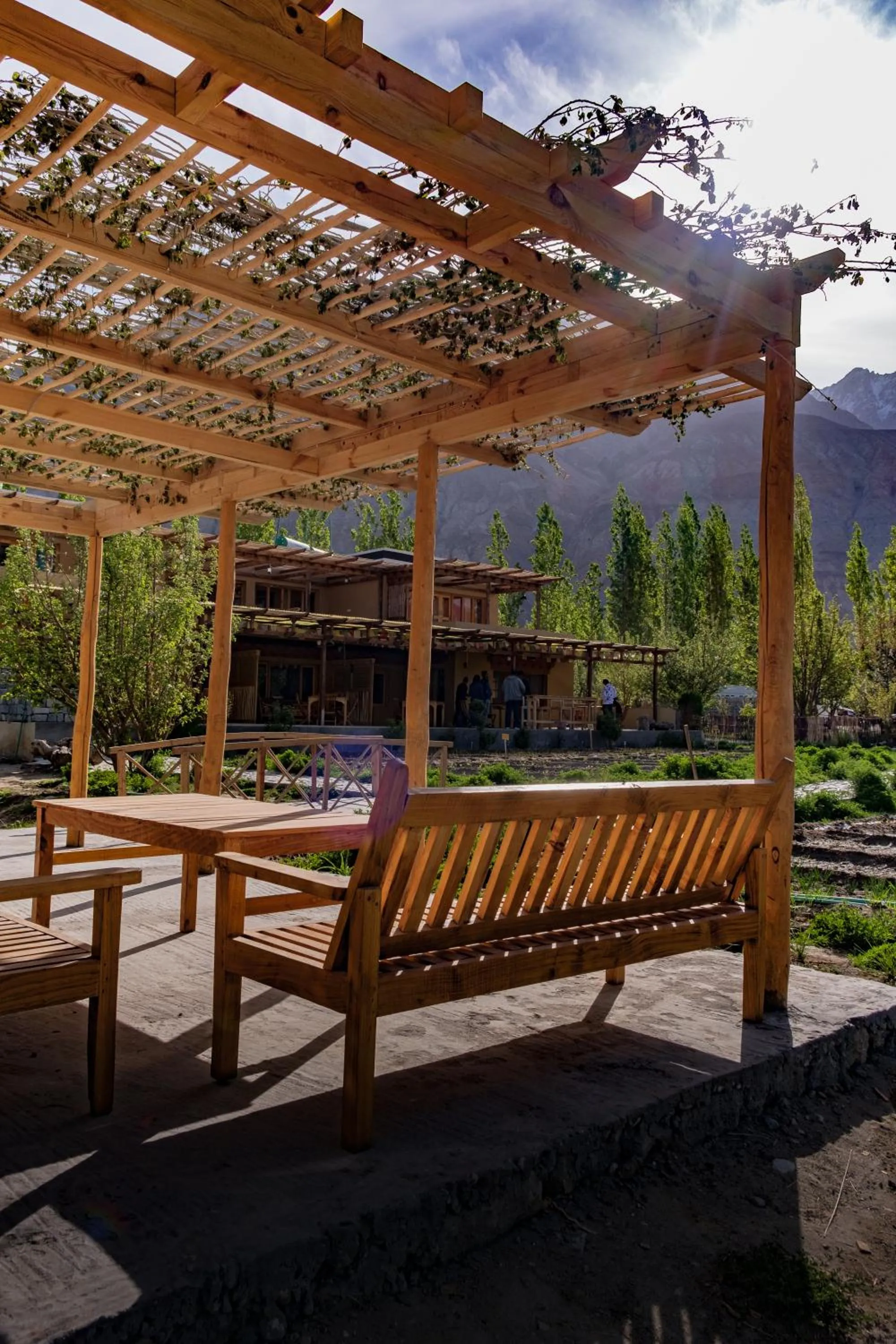Garden view in Nubra Ecolodge