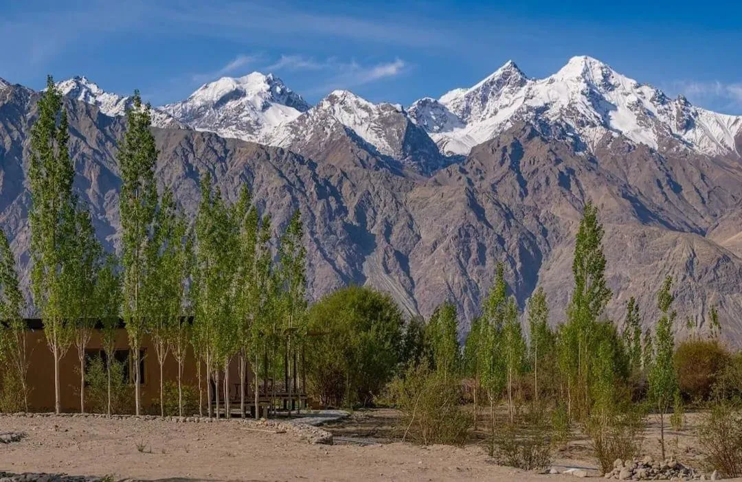 Nubra Ecolodge