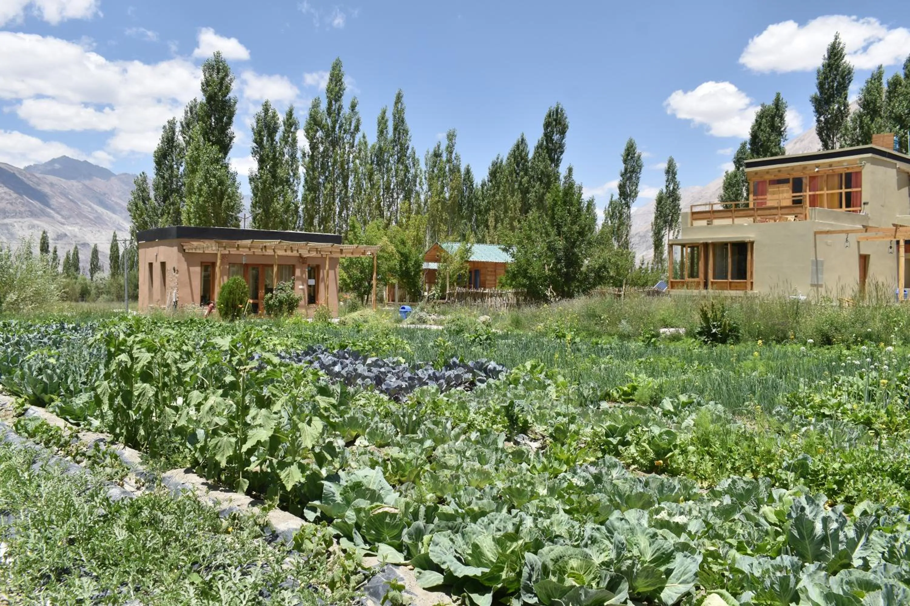 Garden in Nubra Ecolodge
