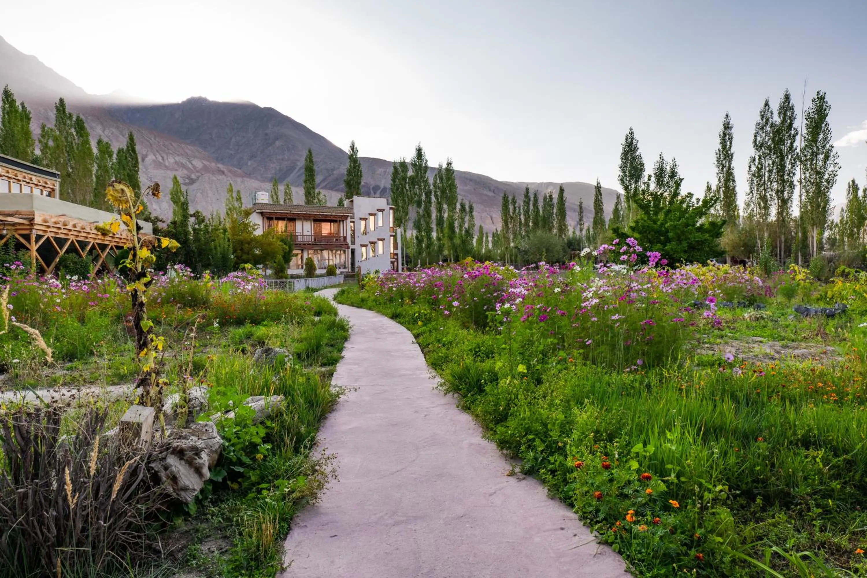 Garden in Nubra Ecolodge