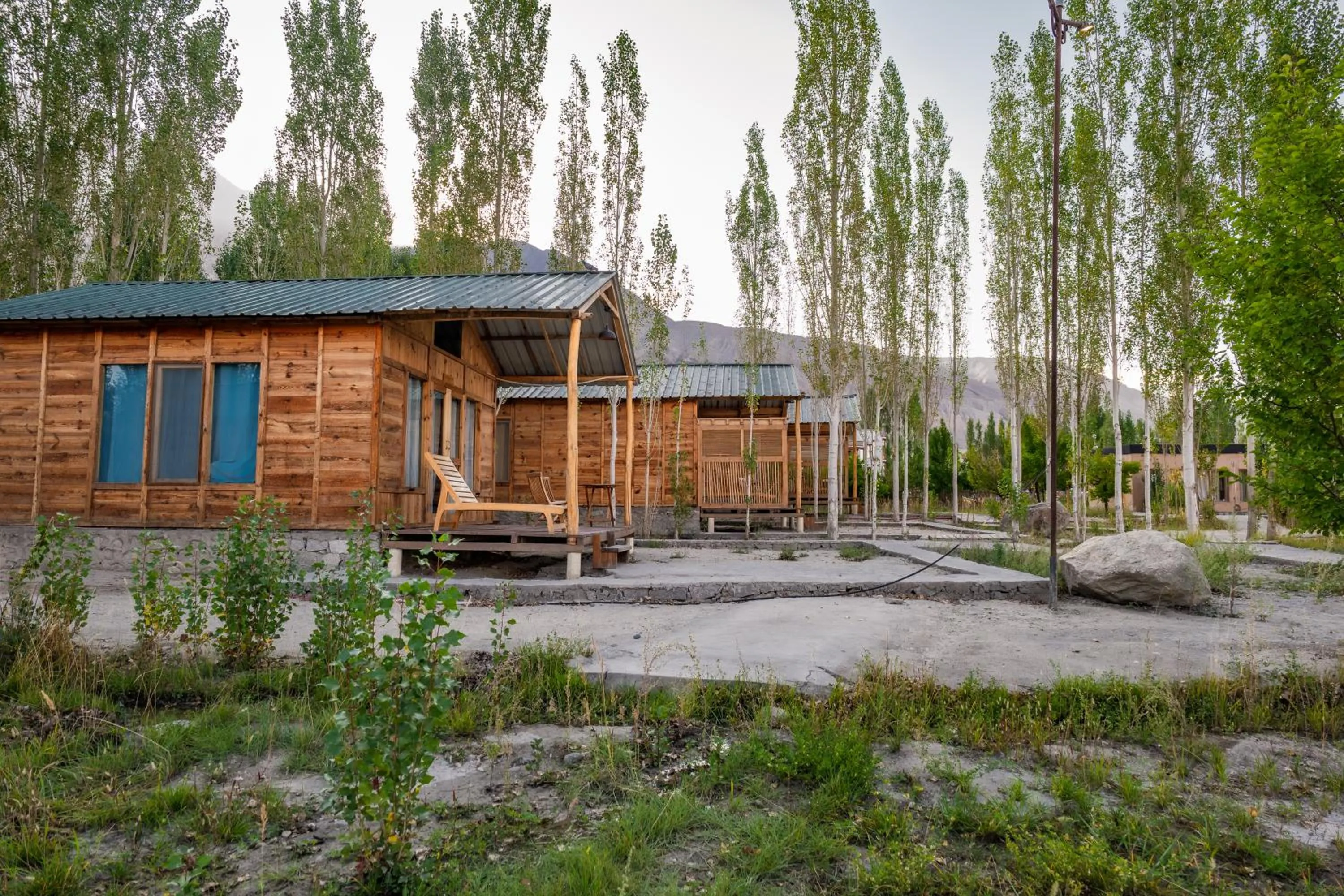 View (from property/room) in Nubra Ecolodge