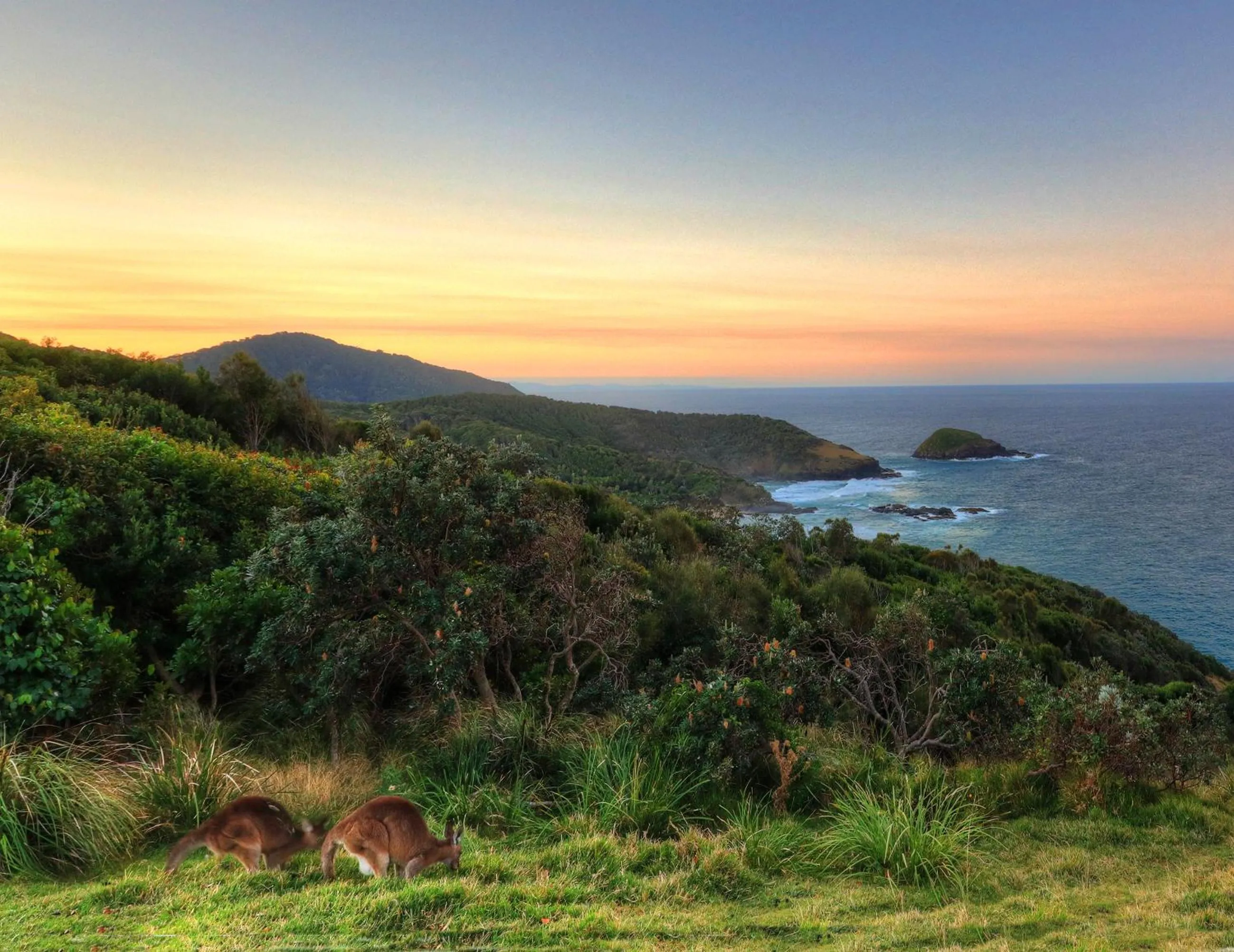 Natural landscape in NRMA South West Rocks Holiday Park
