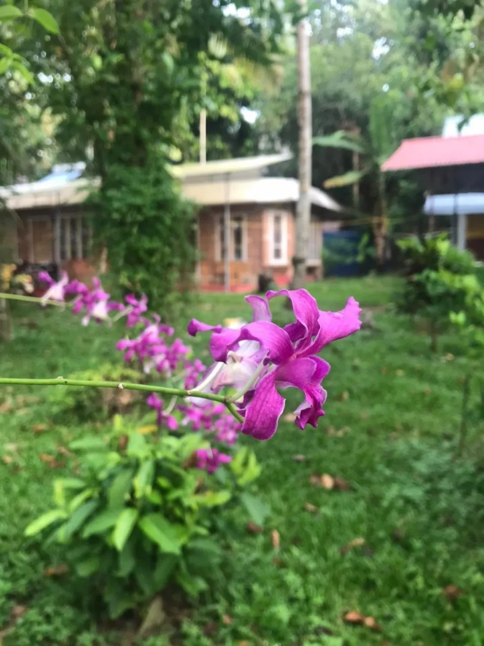 AshtamudiVillas