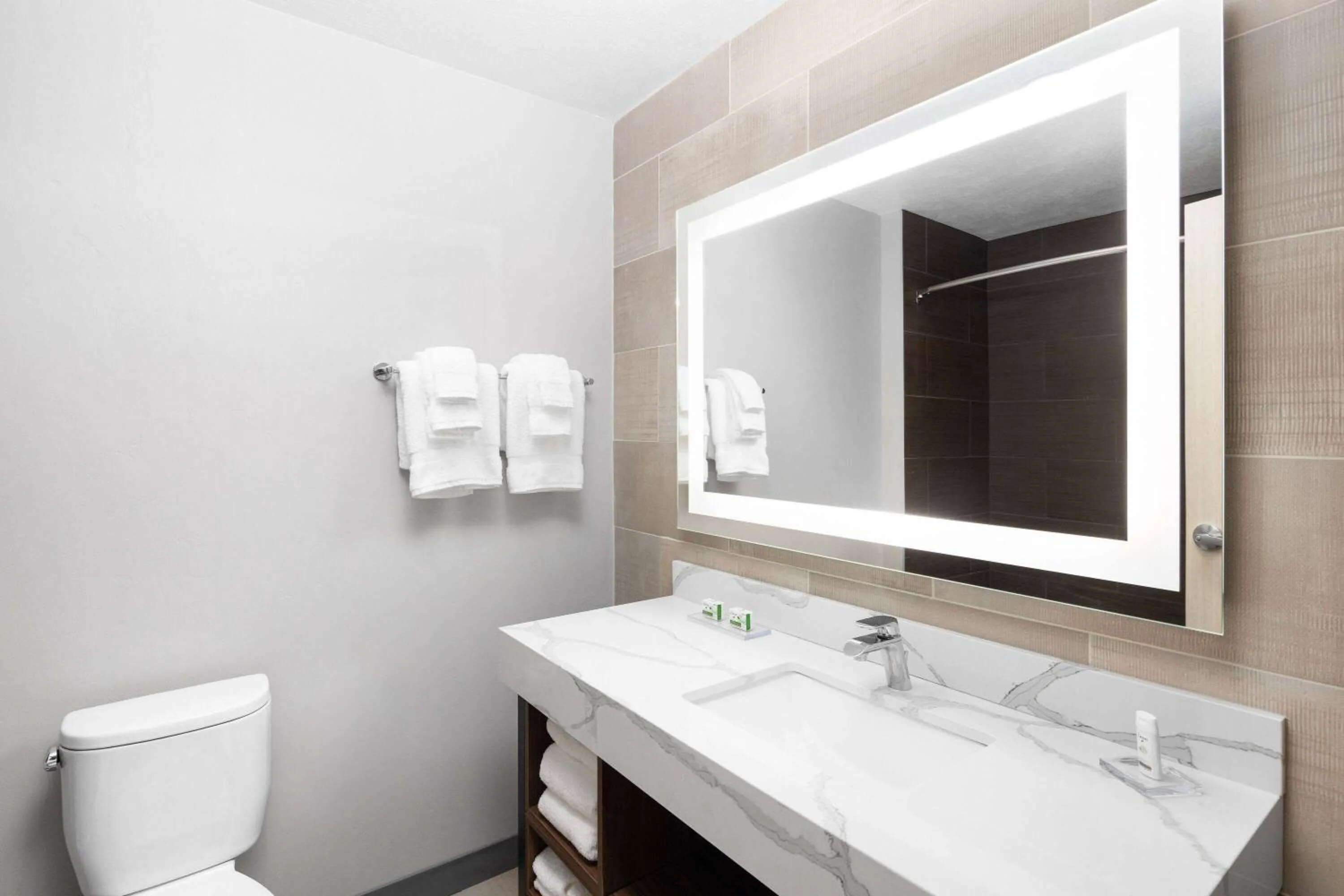 Bathroom in Hawthorn Extended Stay by Wyndham Kingman