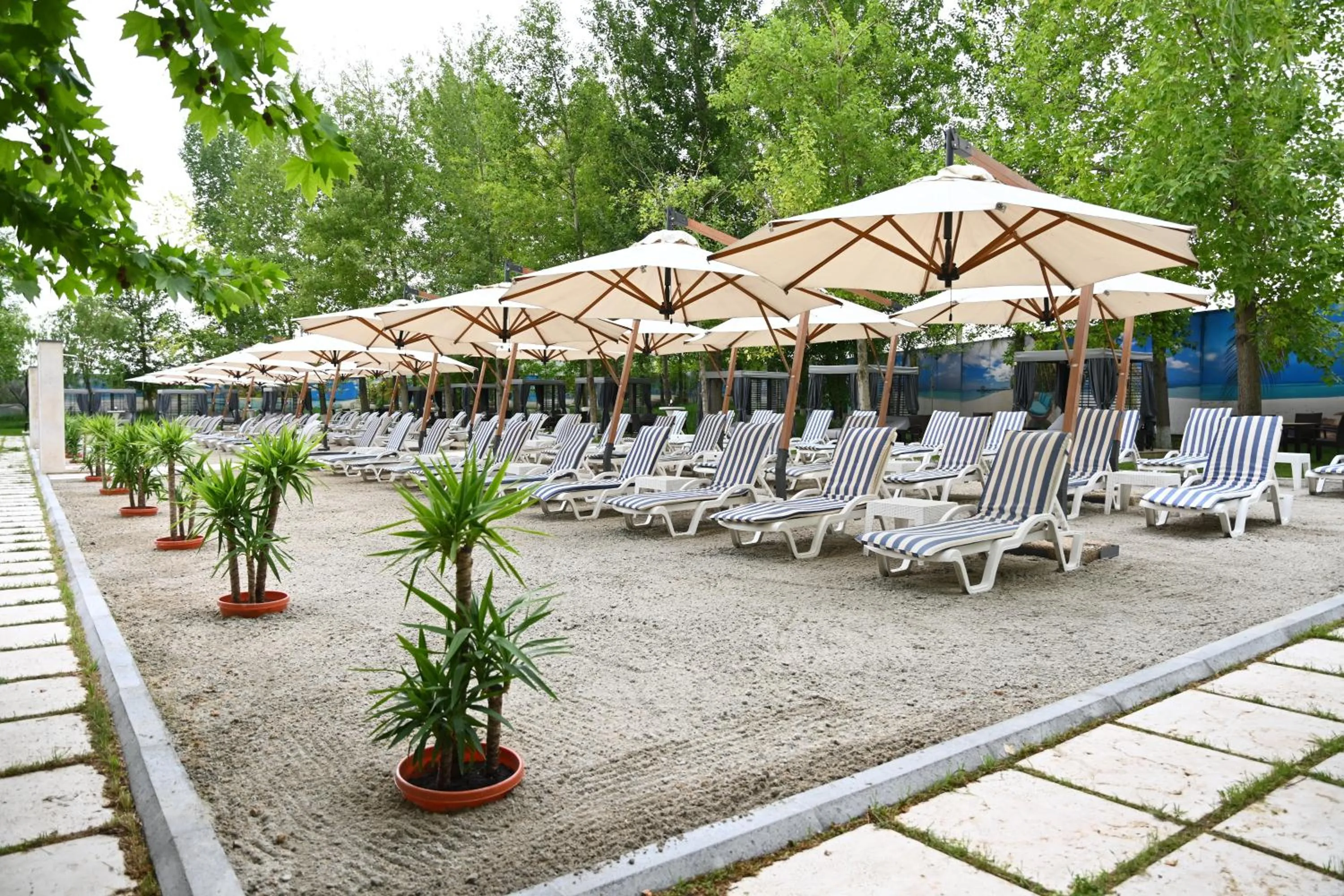 Day in Multi Grand Pharaon Hotel