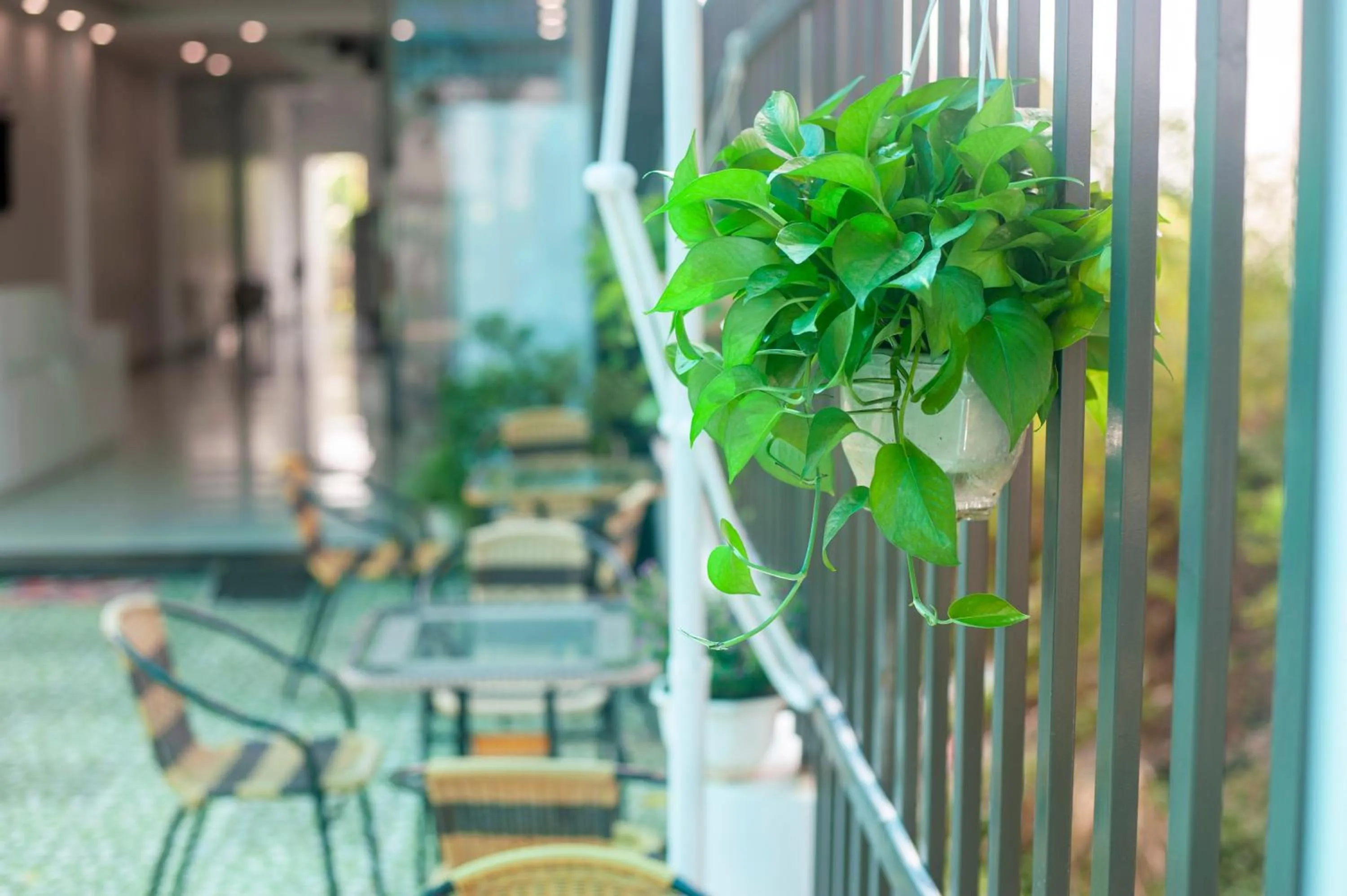 Restaurant/places to eat in Tam Coc Peaceful Hotel