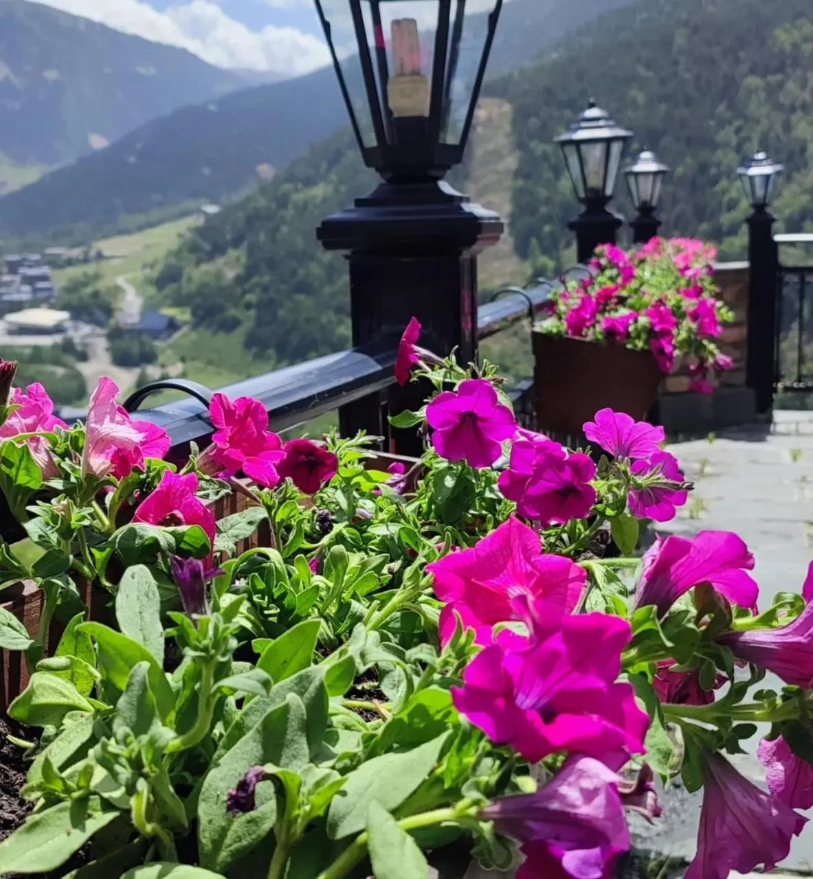 Garden in Hotel Ransol
