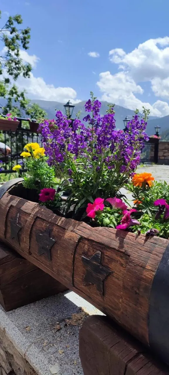 Garden in Hotel Ransol