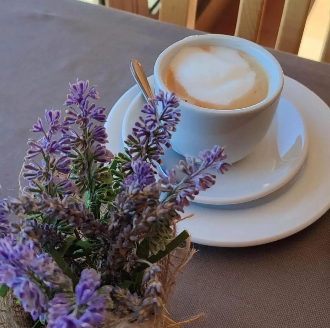 Breakfast in Hotel Ransol