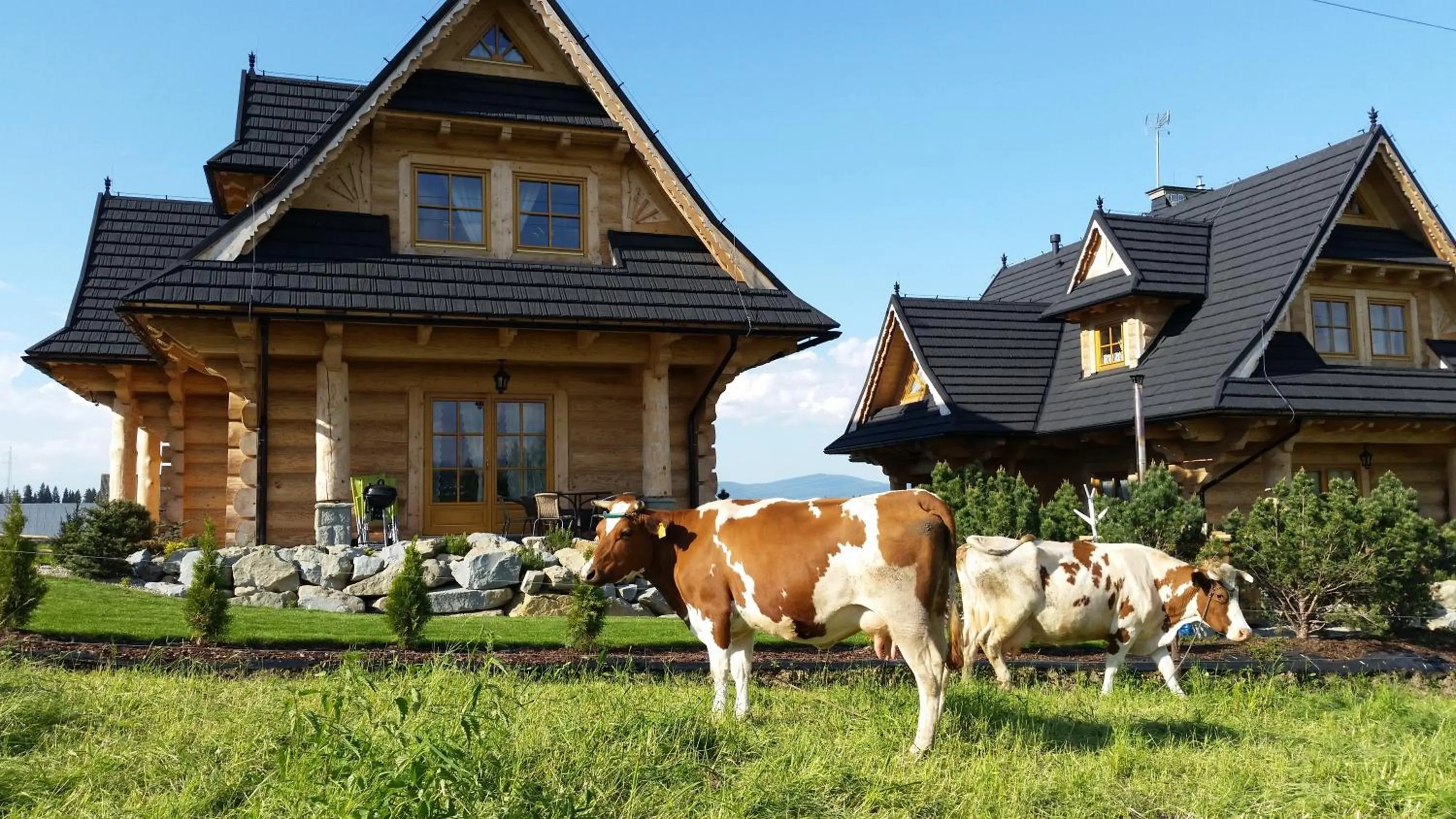 Property building in Osada Maruszyna