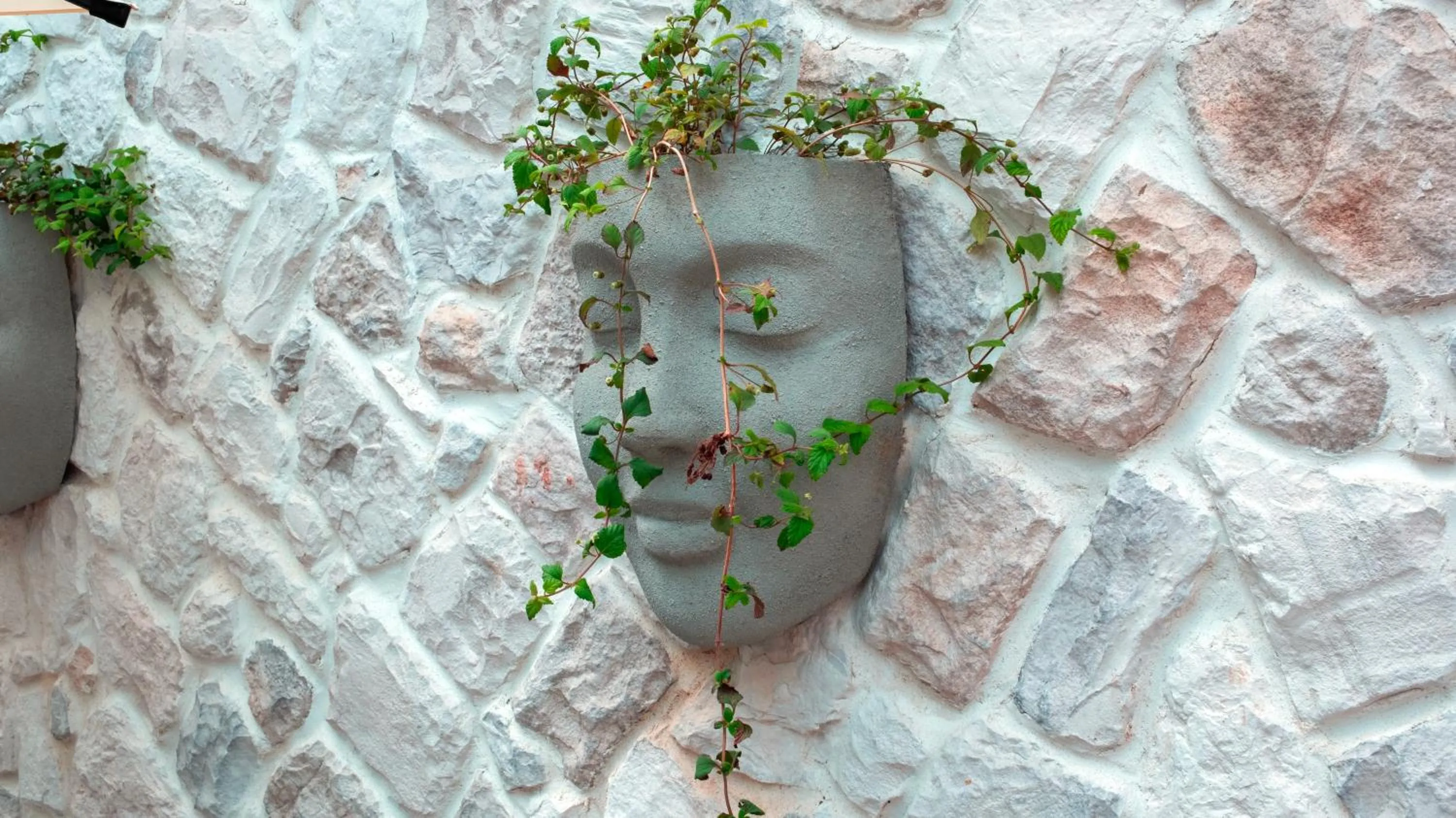 Property building in Kleopatra Dreams Beach Hotel