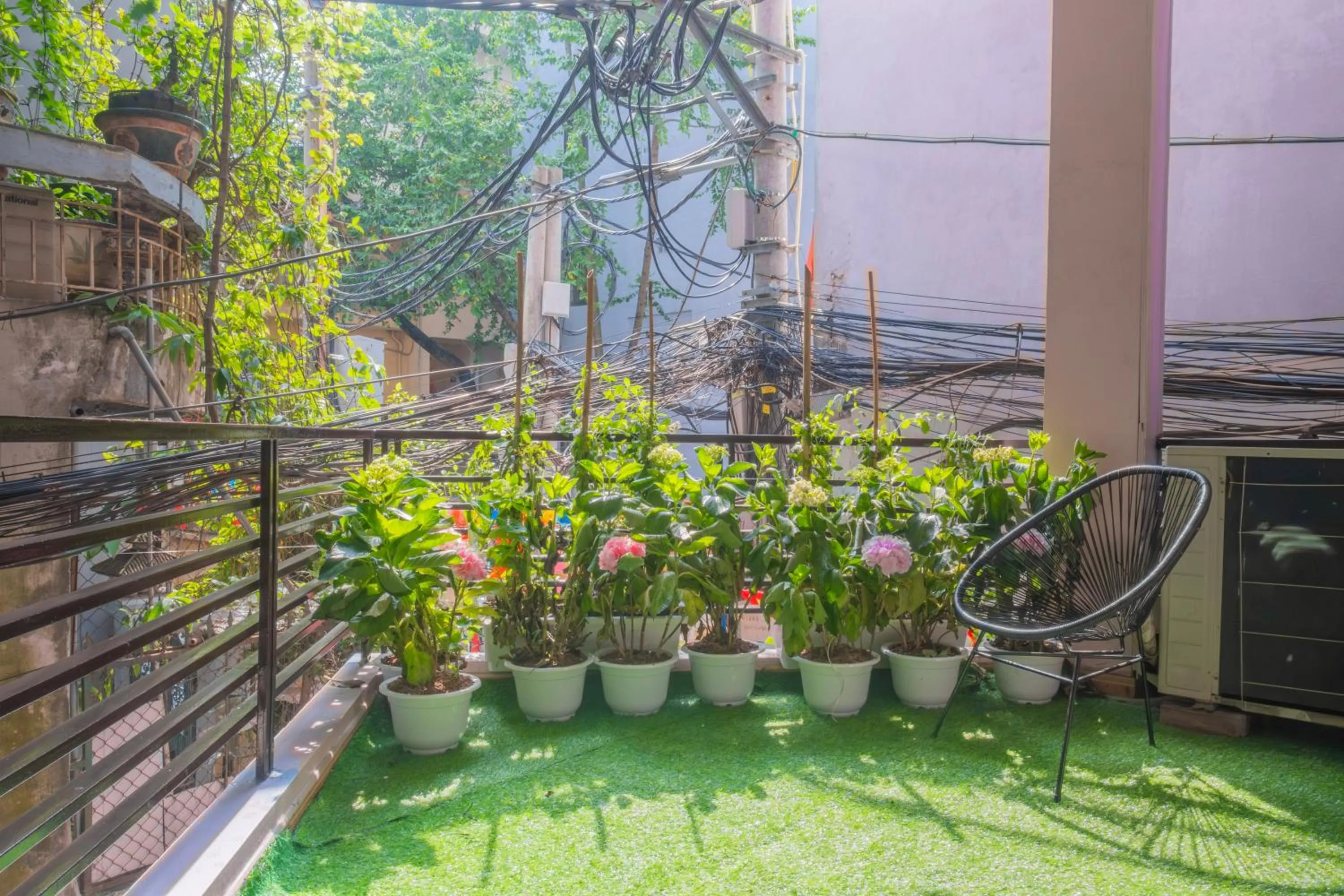 Day in La Sen Westlake Tay Ho Homestay