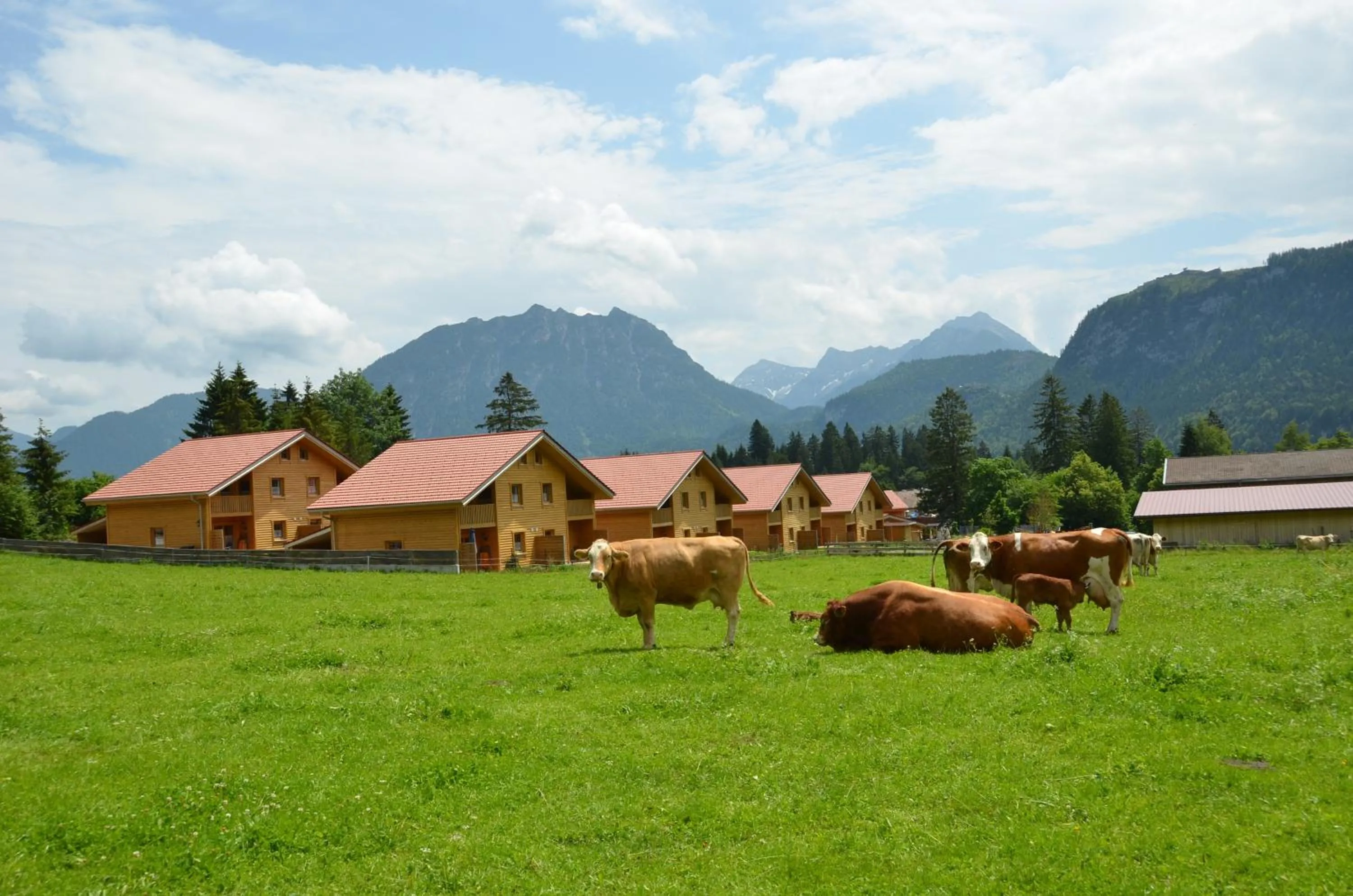 Summer in Feriendorf am Hahnenkamm