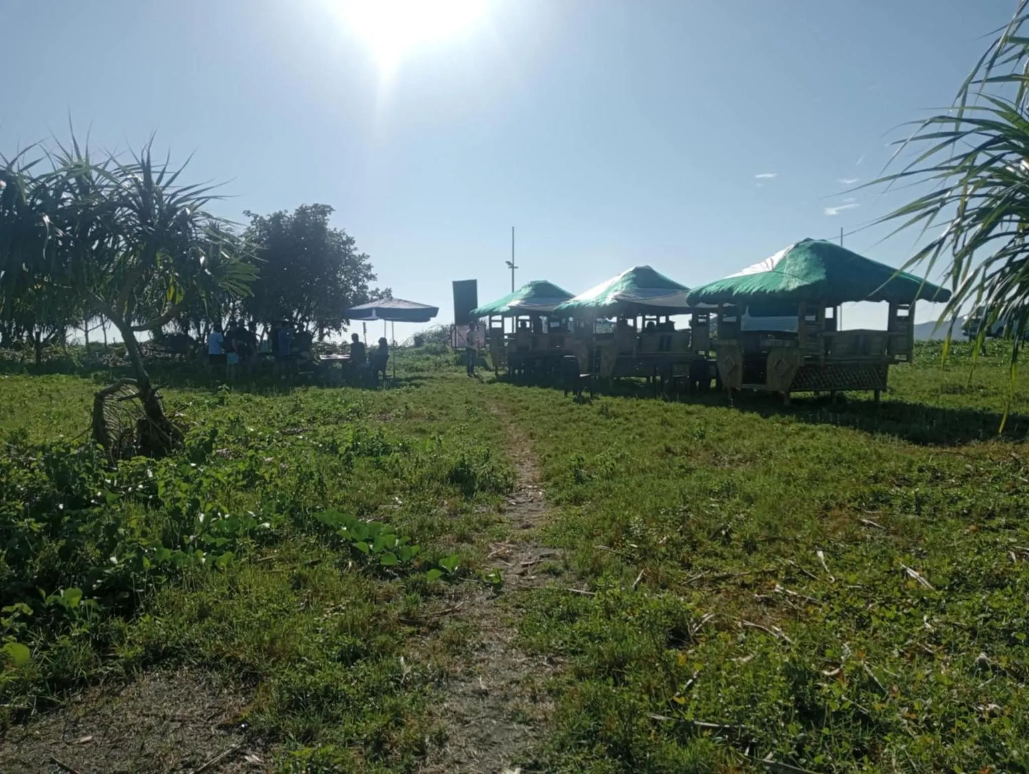 The Waves at Socorro Baler- Hotel A