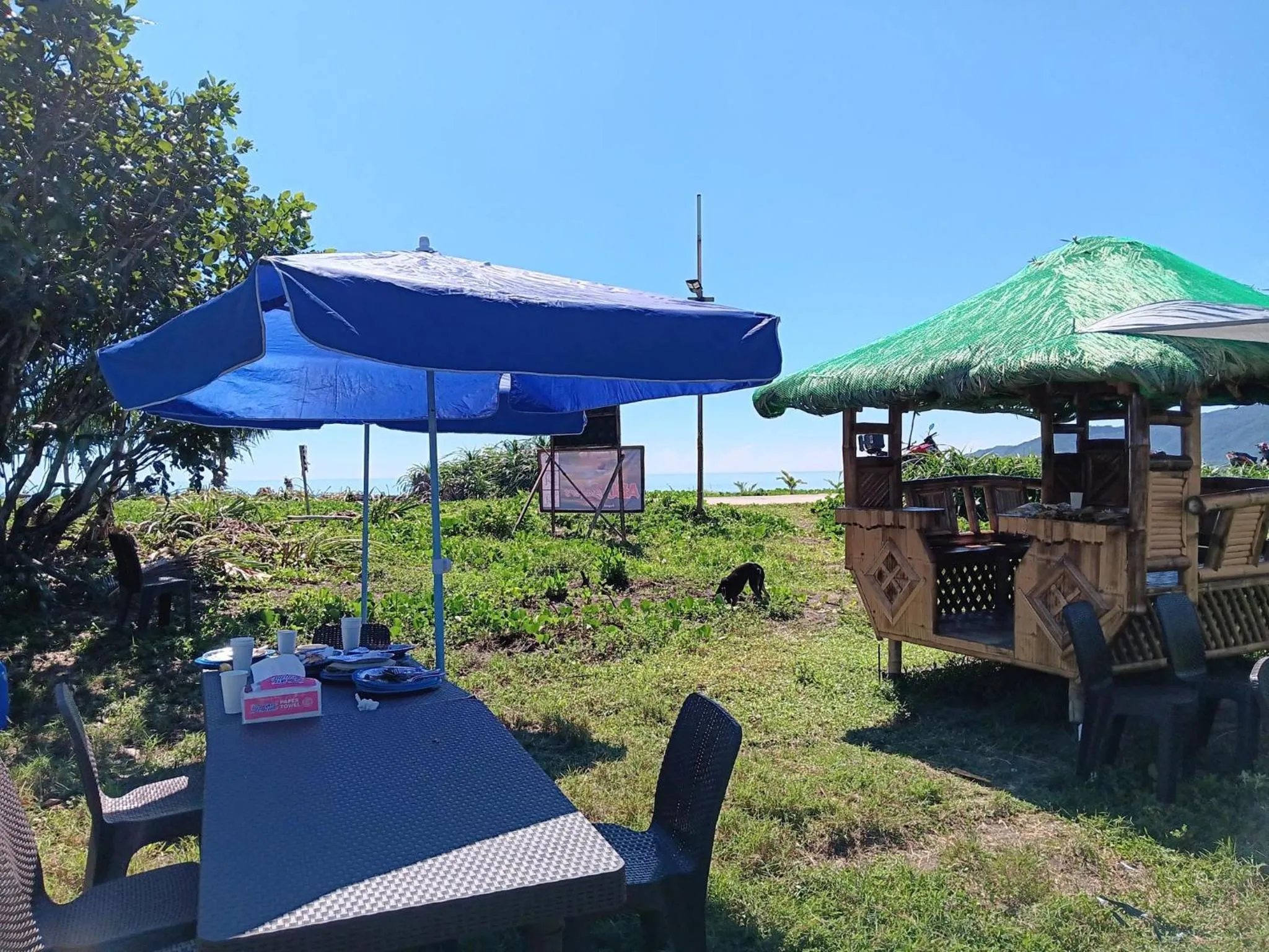 The Waves at Socorro Baler- Hotel A