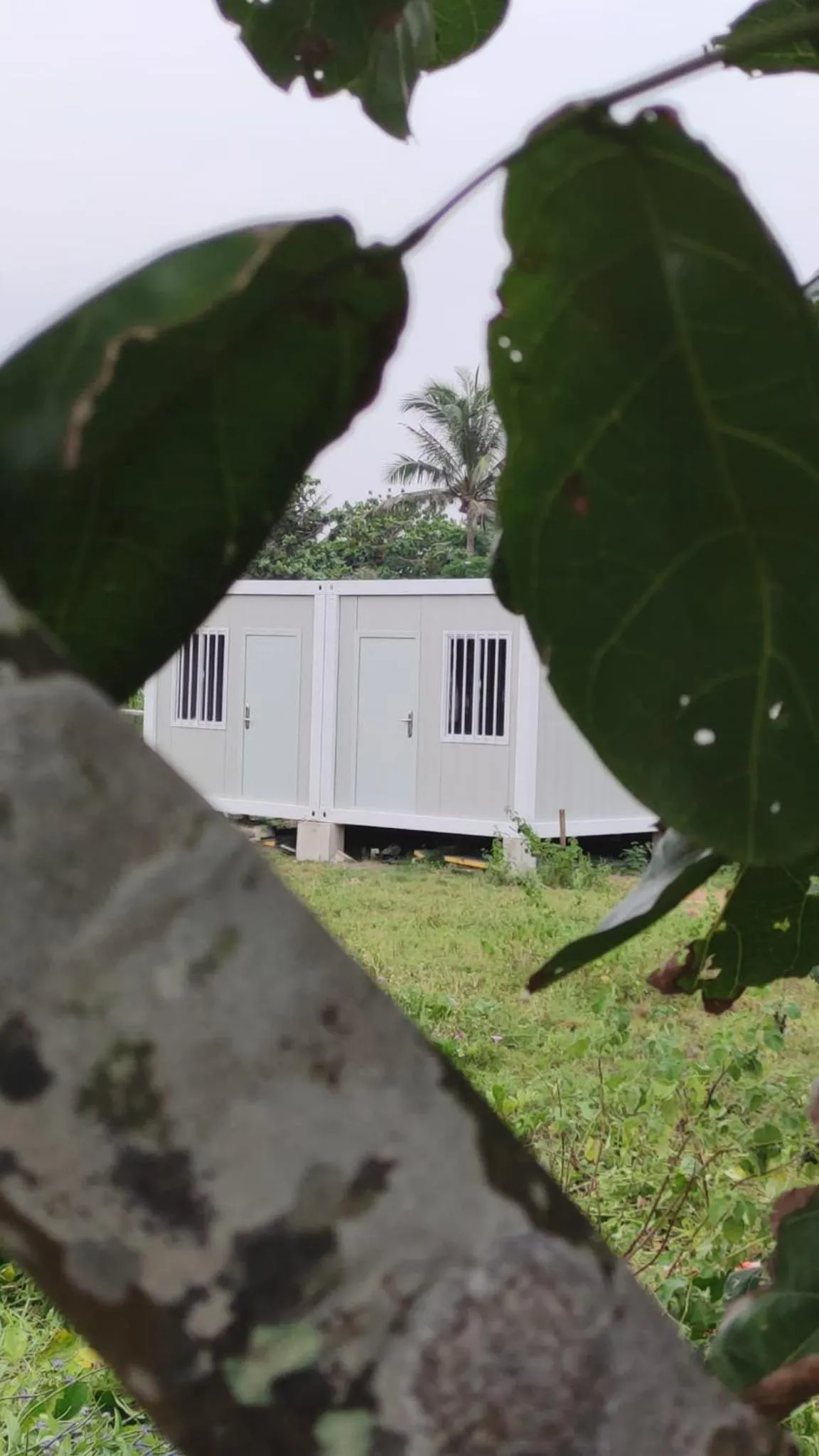 The Waves at Socorro Baler- Hotel A