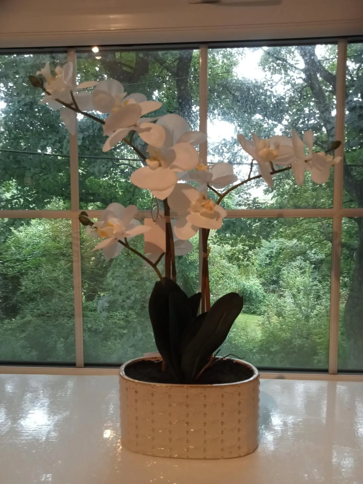 Decorative detail in Quarrie House